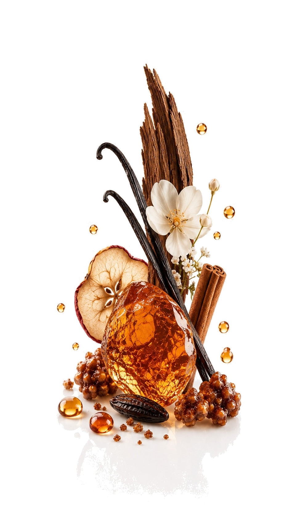Archangel Perfume Oil inspired by Angels Share, Kilian — fragrance-note image for a scent where boozy cognac, cinnamon and tonka melt into toasted oak.
