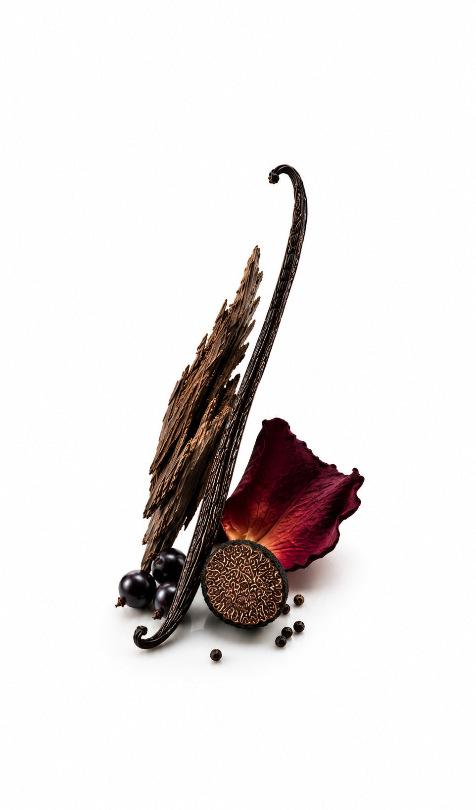 Aromatic Ink Perfume Oil inspired by Noir De Noir, Tom Ford — fragrance-note image for a scent where dark rose and patchouli sink into earthy, oud-like depth.