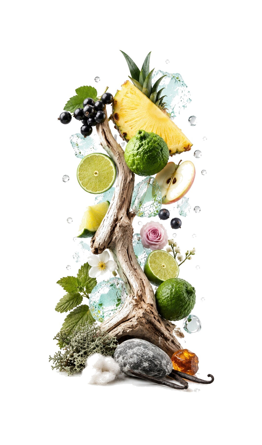 Ascent Man Perfume Oil inspired by Aventus Him, Creed — fragrance-note image for a scent where bright pineapple and citrus open into crisp freshness and smoky depth.