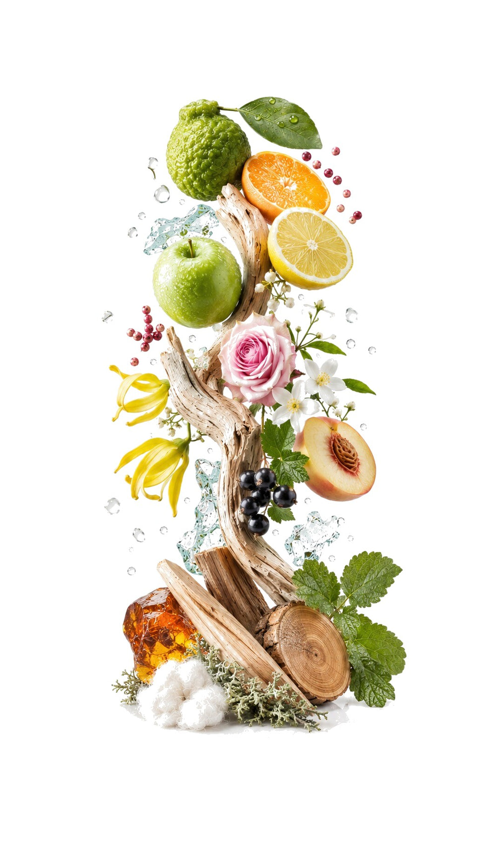Ascent Woman Perfume Oil inspired by Aventus Her, Creed — fragrance-note image for a scent where vibrant fruits and citrus brighten a floral heart with clean woody depth.