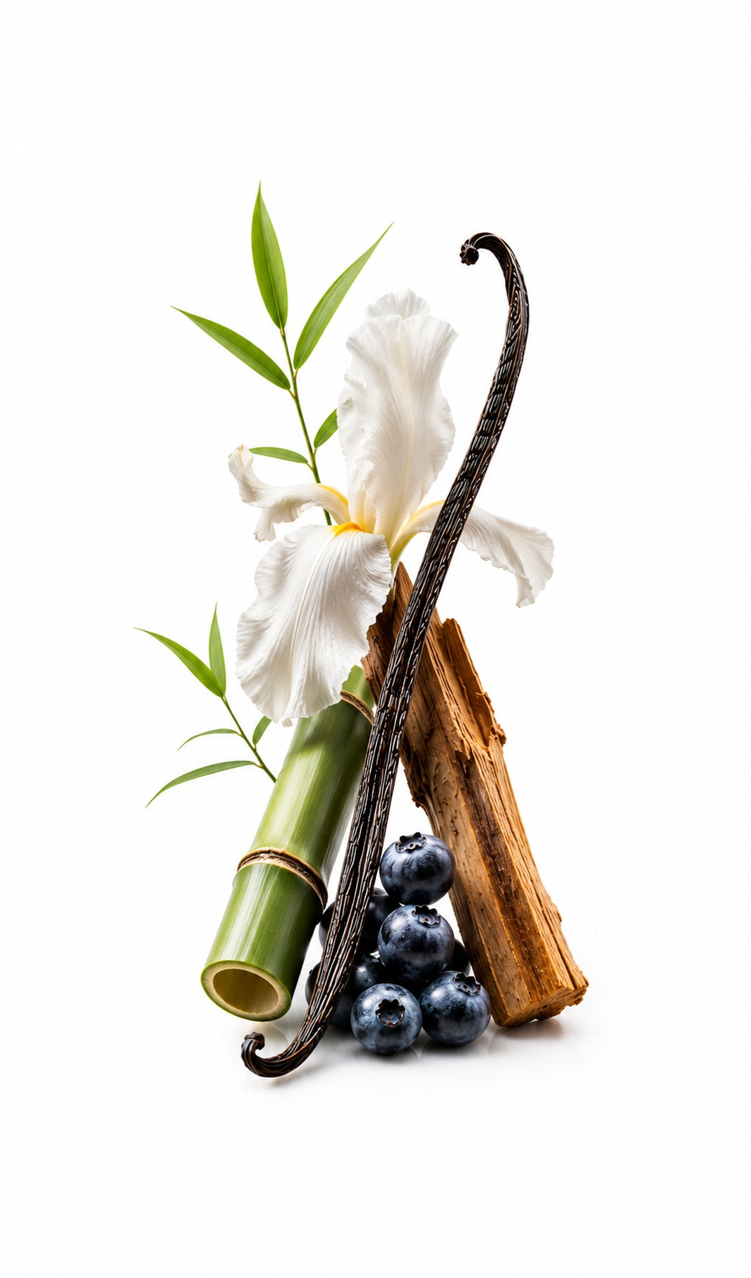 Berlin Song perfume oil inspired by Vilhelm Parfumerie Poets of Berlin with blueberry, lemon, vanilla and woody notes.