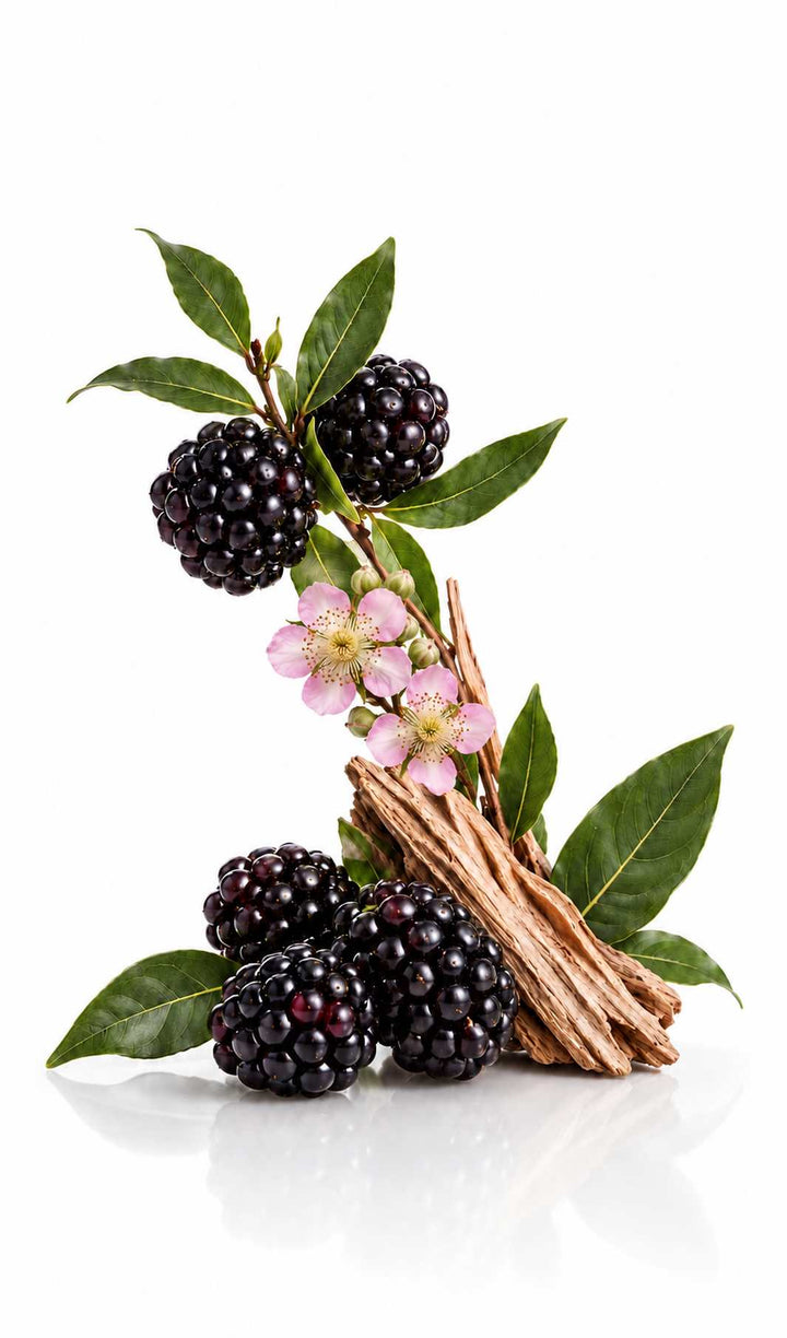 Jo Malone Blackberry &amp; Bay dupe perfume oil Berrywood by Perfume Oil Expressions, with blackberries, bay leaves and cedarwood.