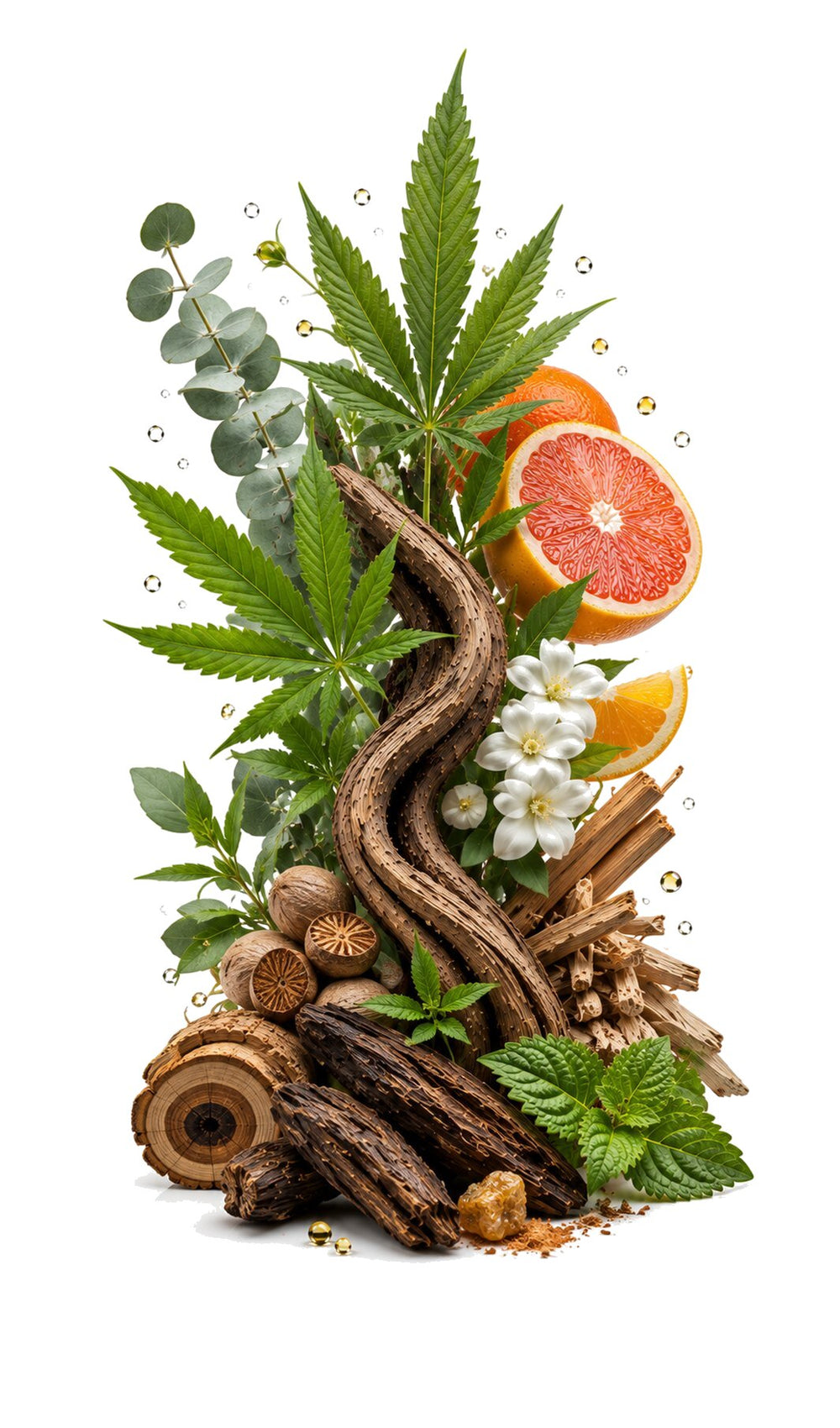 Blue Haze Perfume Oil inspired by Cannabis Blue, Fragrance Du Bois — fragrance-note image for a scent where green aromatics reveal herbal freshness and dry woody depth.
