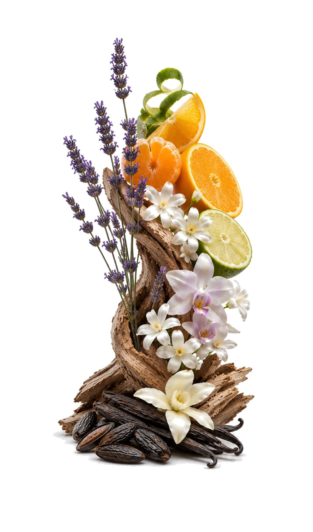 Boujee Extra Perfume Oil inspired by Libre Intense Yves Saint Laurent (YSL) — fragrance-note image for a scent where orange blossom and lavender bloom over warm, rich vanilla.
