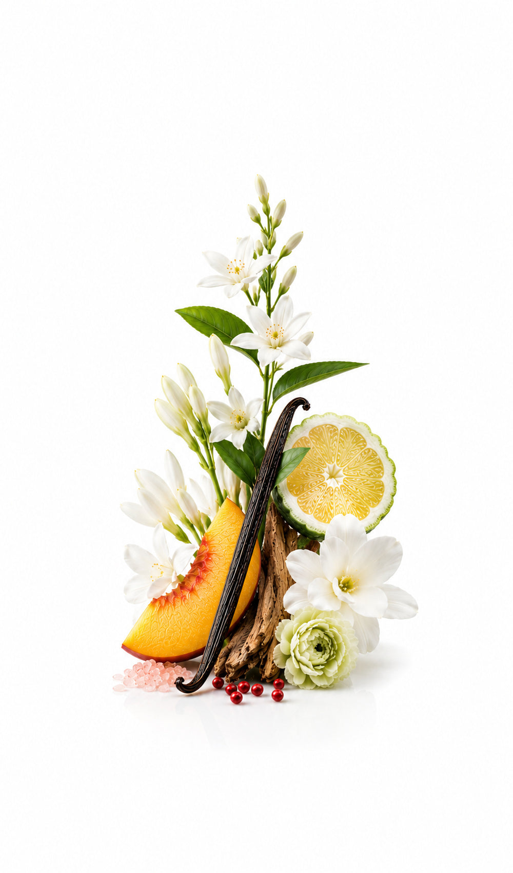 Boundless Perfume Oil inspired by My Way, Giorgio Armani — fragrance-note image for a scent where luminous white florals lift with citrus before settling into smooth woods.
