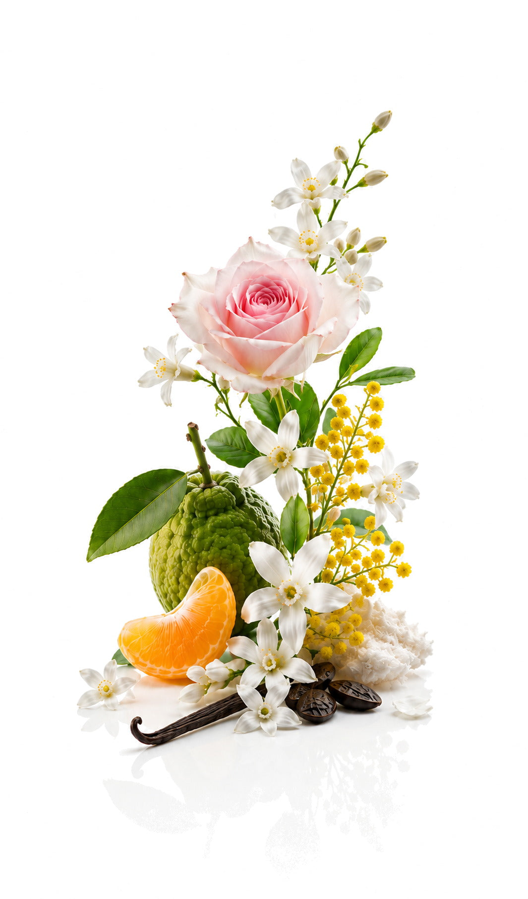 Coleen Perfume Oil inspired by poeCoCo mademoisell — fragrance-note image for a scent where citrus and rose brighten patchouli and elegant woody depth.