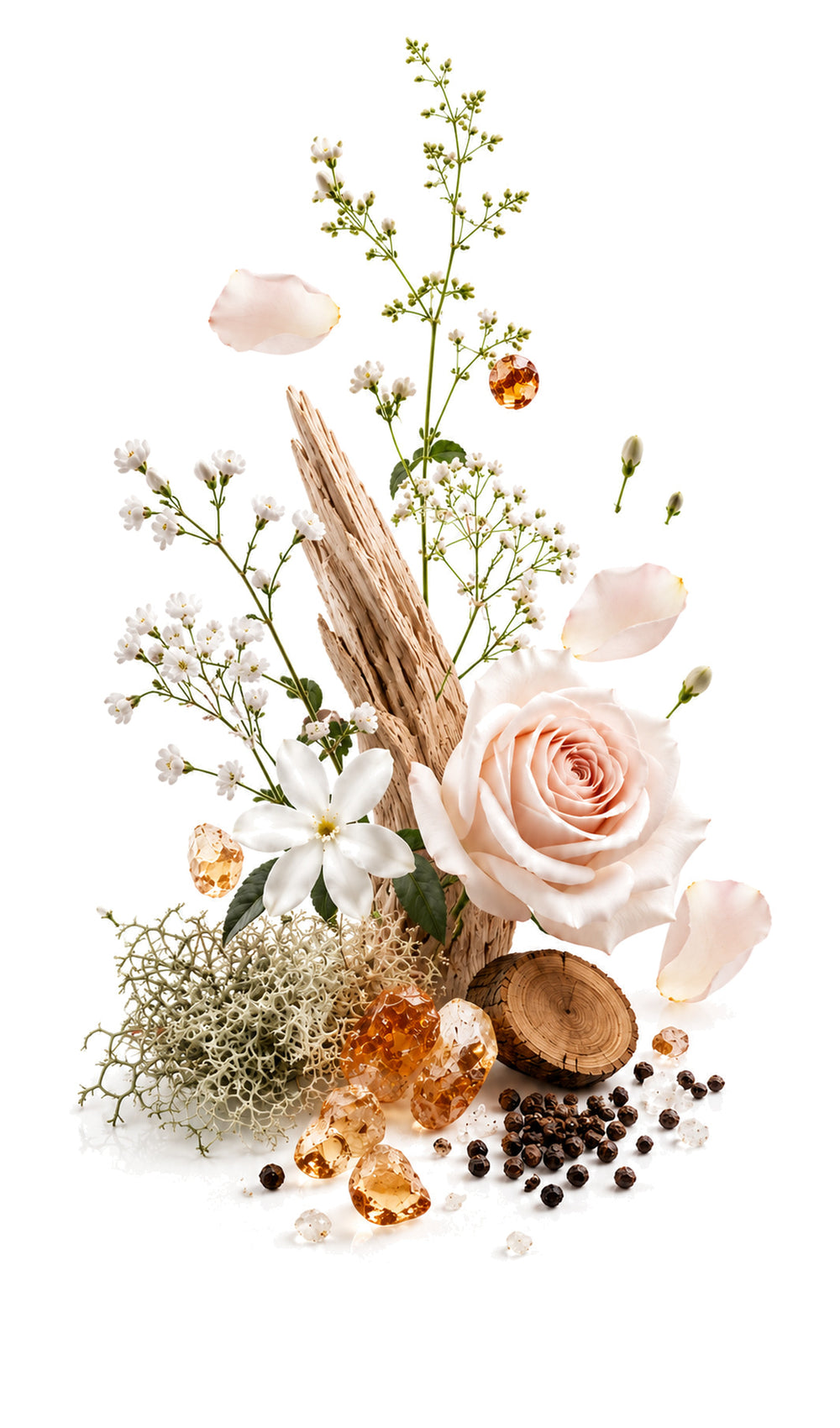 Crystal Rose Perfume Oil inspired by Rose 31, Le Labo — fragrance-note image for a scent where spicy rose and cumin settle into smooth woods and soft musk.