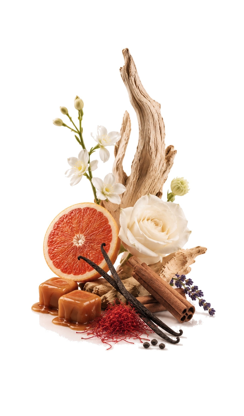 Dulcet Perfume Oil inspired by Lira, Xerjoff — fragrance-note image for a scent where caramel and vanilla in a warm, spiced gourmand and citurs lift.