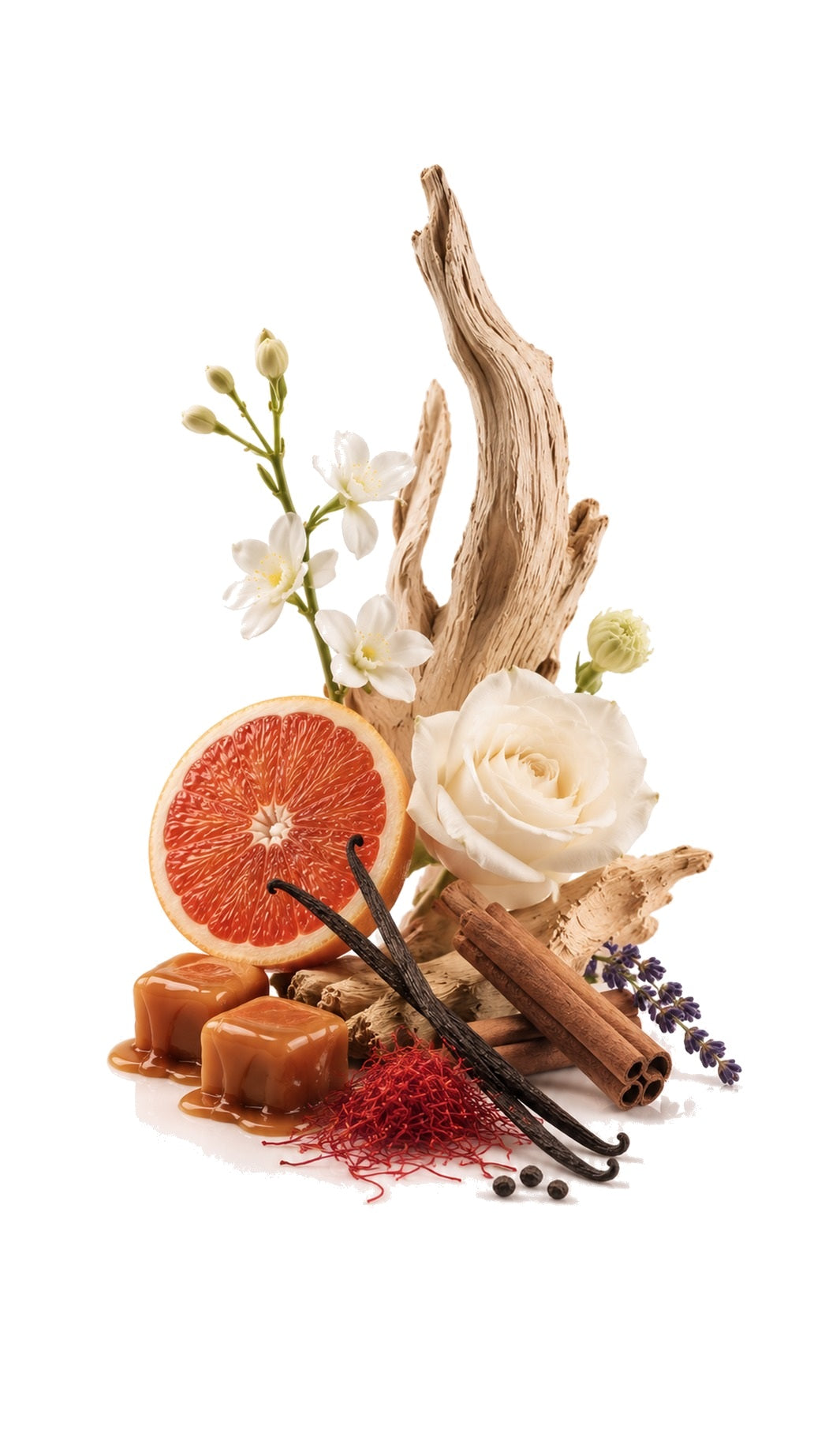 Dulcet perfume oil inspired by Xerjoff Lira with caramel, vanilla, citrus and warm spice notes.