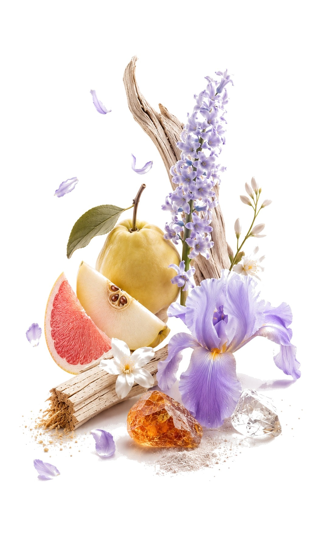 Dusk Perfume Oil inspired by poeC.T — fragrance-note image for a scent where soft powdery florals settle into elegant warmth and a smooth finish.