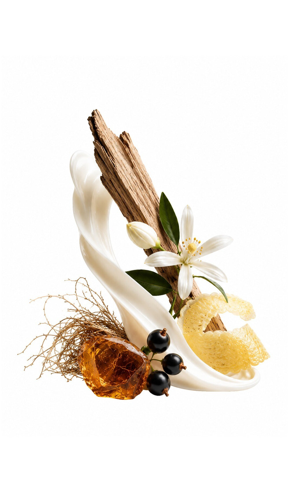 Eden Perfume Oil inspired by Bal D'Afrique, Byredo — fragrance-note image for a scent where smooth citrus and neroli meet vetiver and smooth woody freshness.