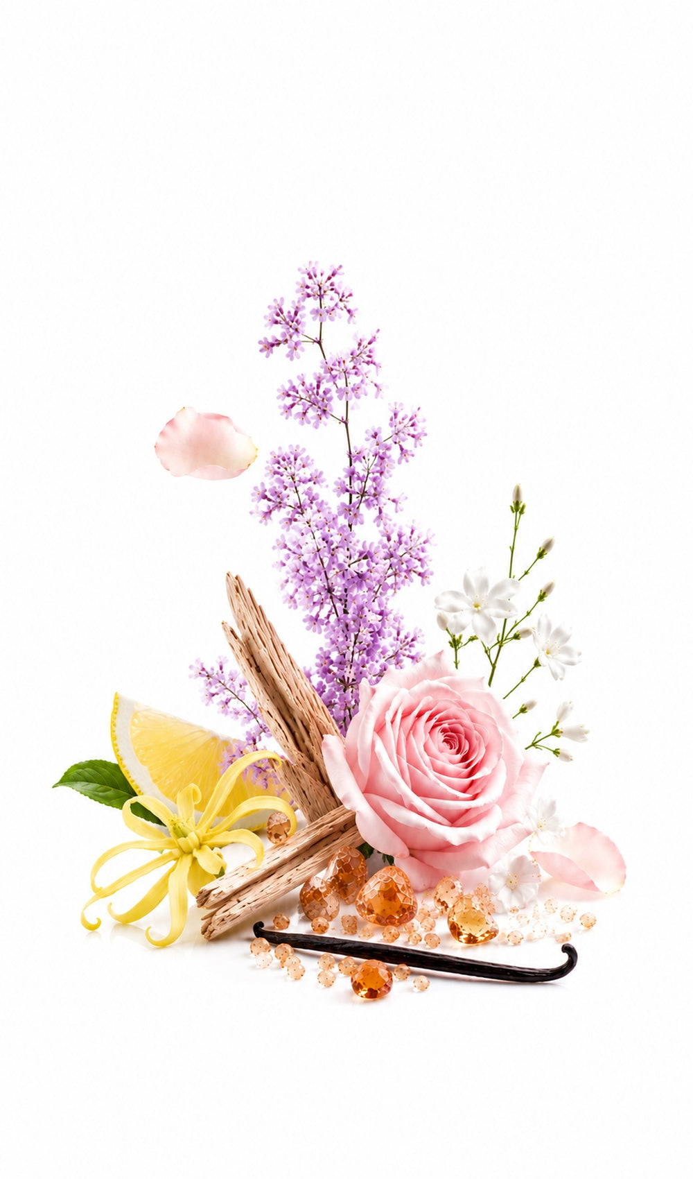 Euphoric Love Perfume Oil inspired by Psychedelic Love, Initio — fragrance-note image for a scent where creamy heliotrope and rose melt into vanilla and warm amber.