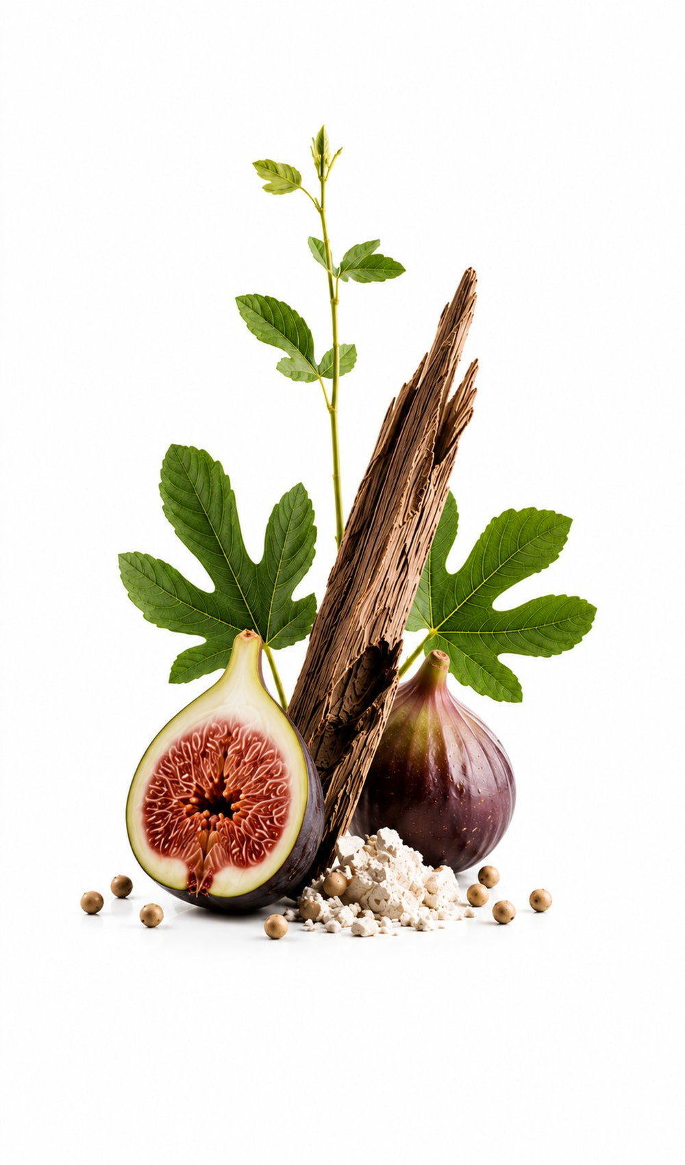 Fig Leaf Perfume Oil inspired by Philosykos, Diptyque — fragrance-note image for a scent where green fig and leafy freshness soften into milky woods.