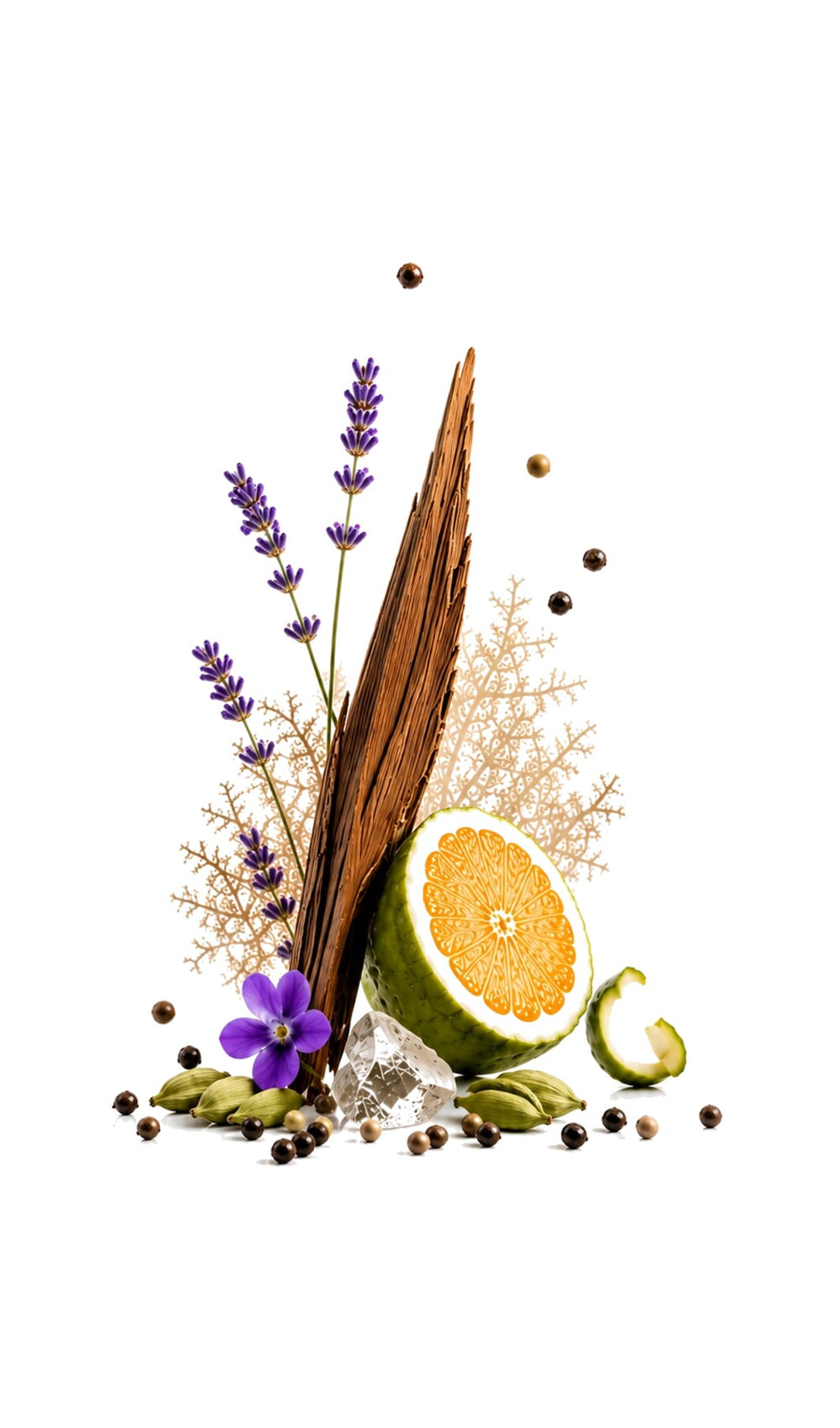 Galaxya Perfume Oil inspired by Meteore, Louis Vuitton — fragrance-note image for a scent where modern citrus and clean spice create an energetic aromatic freshness.