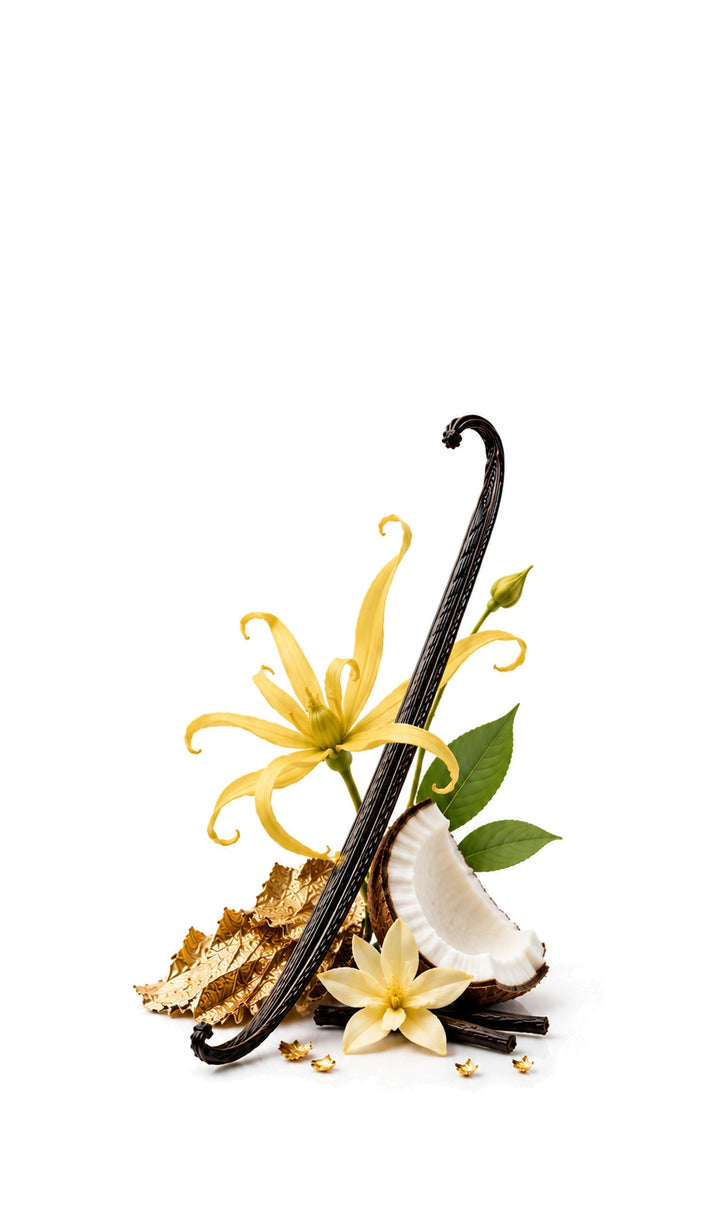 Golden Petal Perfume Oil inspired by Ylang in Gold, M. Micallef — fragrance-note image for a scent where creamy ylang blooms with tropical fruit and golden sweetness.