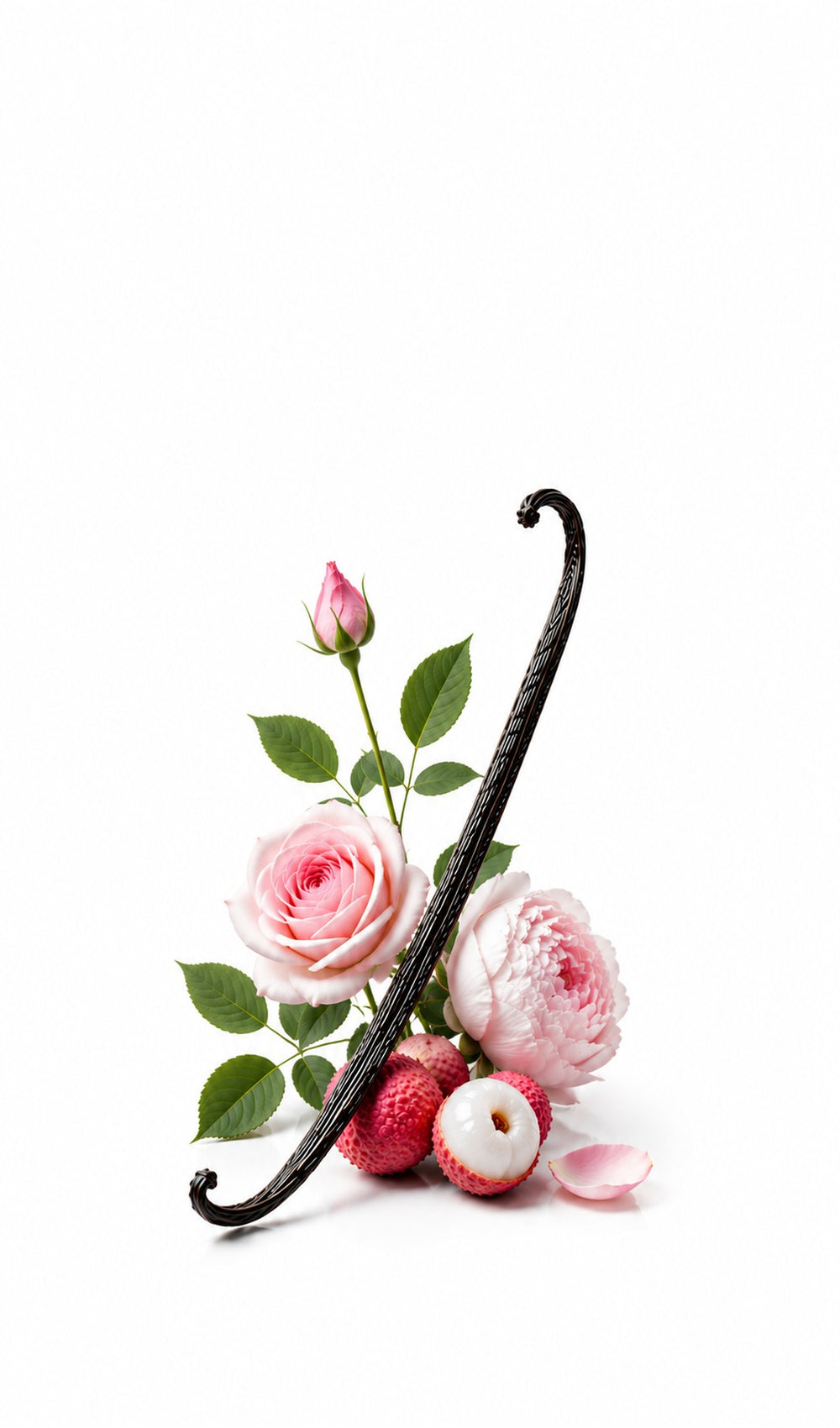 Grace Perfume Oil inspired by Chloe, Chloe — fragrance-note image for a scent where fresh rose and peony float over soft musk with airy elegance.