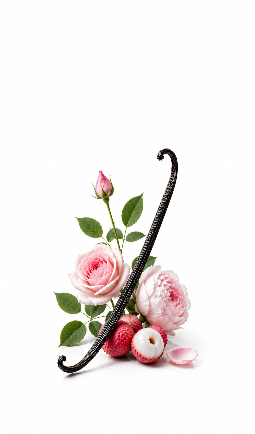 Grace Perfume Oil inspired by Chloe, Chloe — fragrance-note image for a scent where fresh rose and peony float over soft musk with airy elegance.