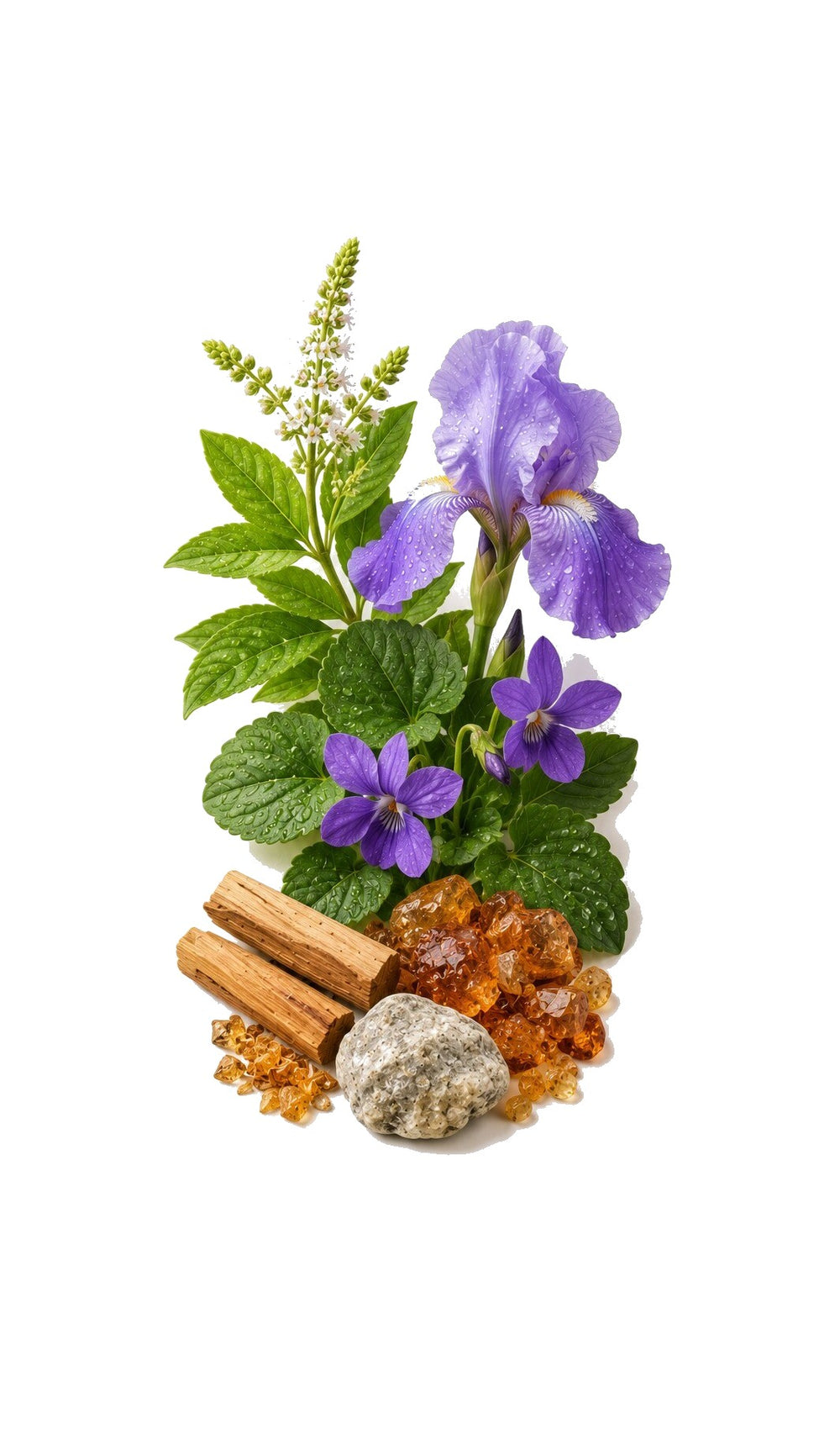 Green Fusion Perfume Oil inspired by Green Irish Tweed, Creed — fragrance-note image for a scent where crisp green aromatics and citrus settle into refined woods.