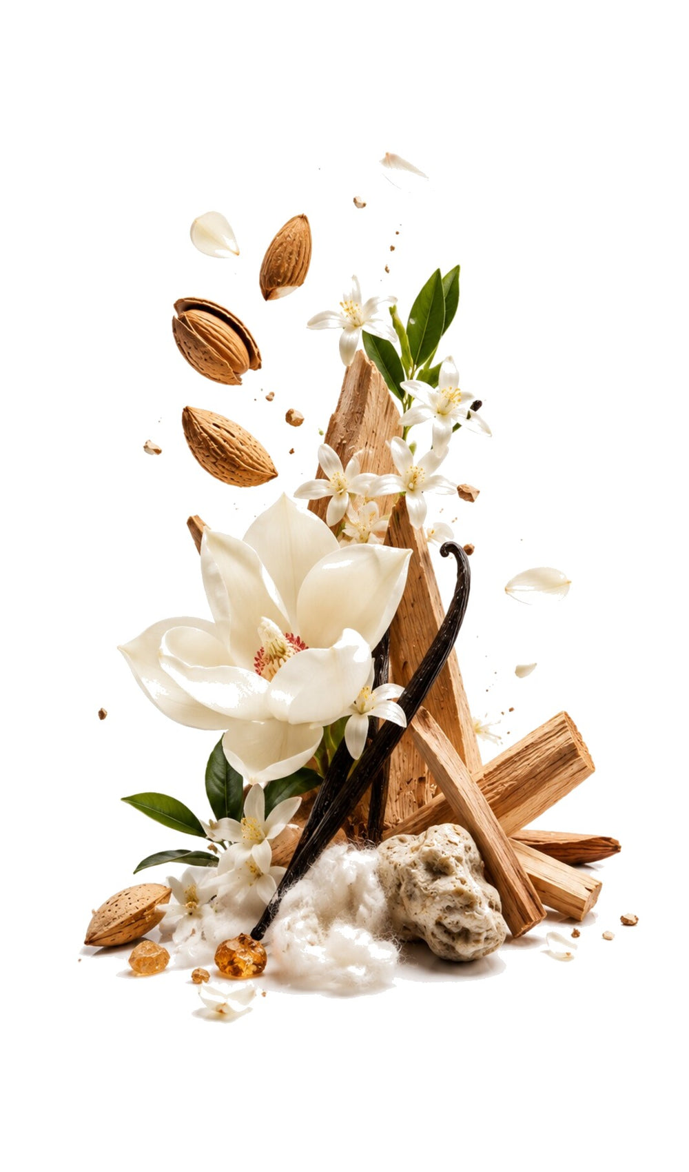 High Voltage Perfume Oil inspired by High Frequency, Initio — fragrance-note image for a scent where soft almond and musk create clean-skin warmth with a smooth finish.