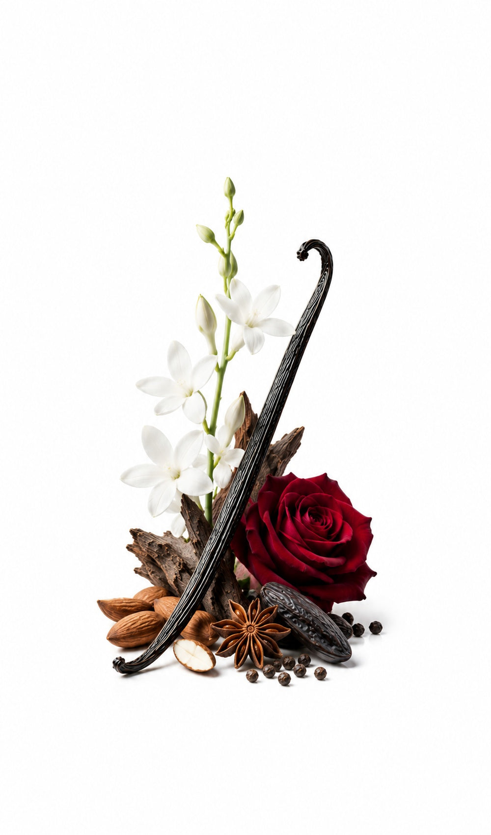 Hypnotic Spell Perfume Oil inspired by Hypnotic Poison, Dior — fragrance-note image for a scent where creamy almond and vanilla wrap soft florals in powdery warmth.