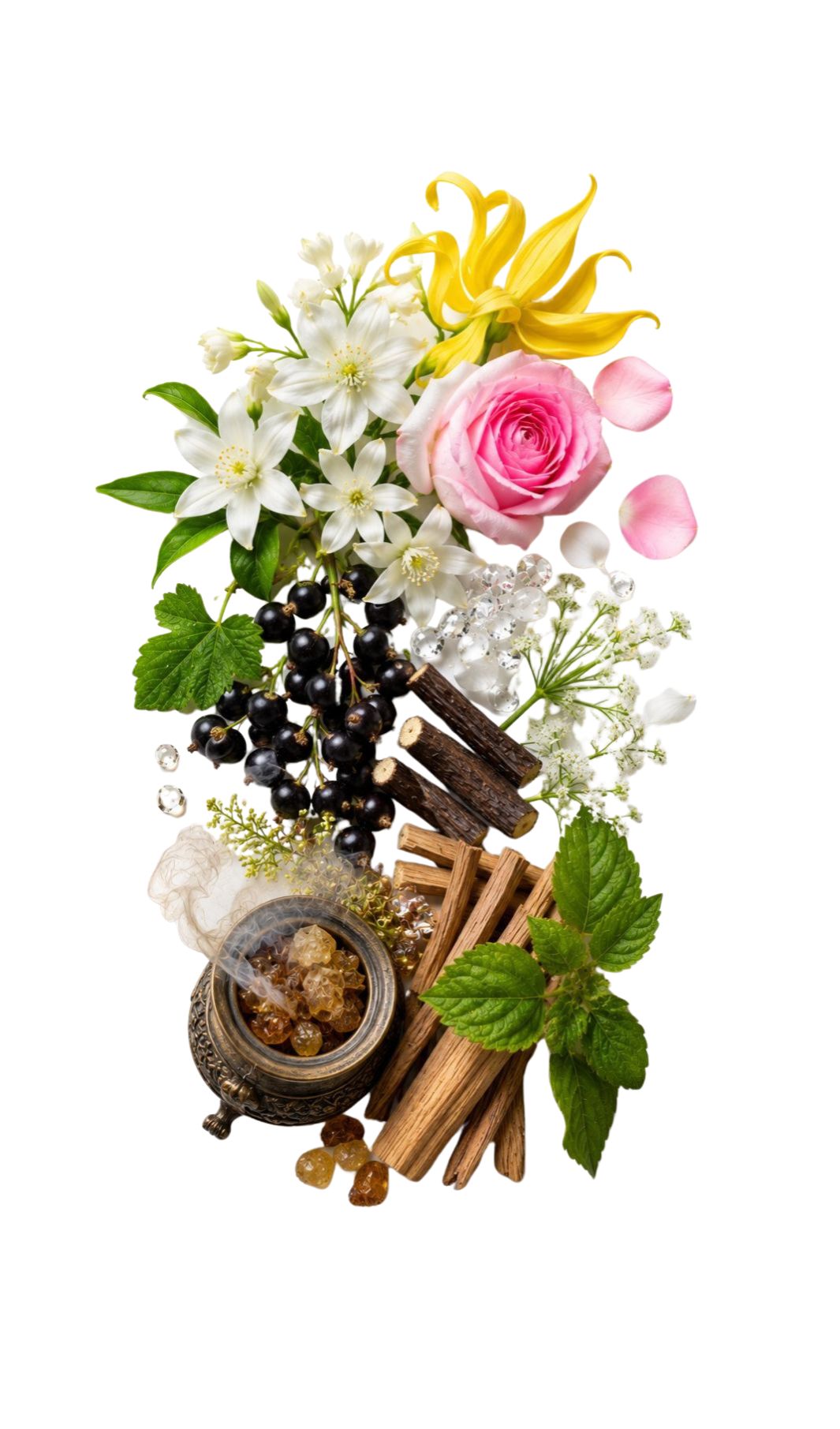 Inspired by Imitation Woman, Amouage — Replica perfume oil bottle with rose, blackcurrant and ylang-ylang.