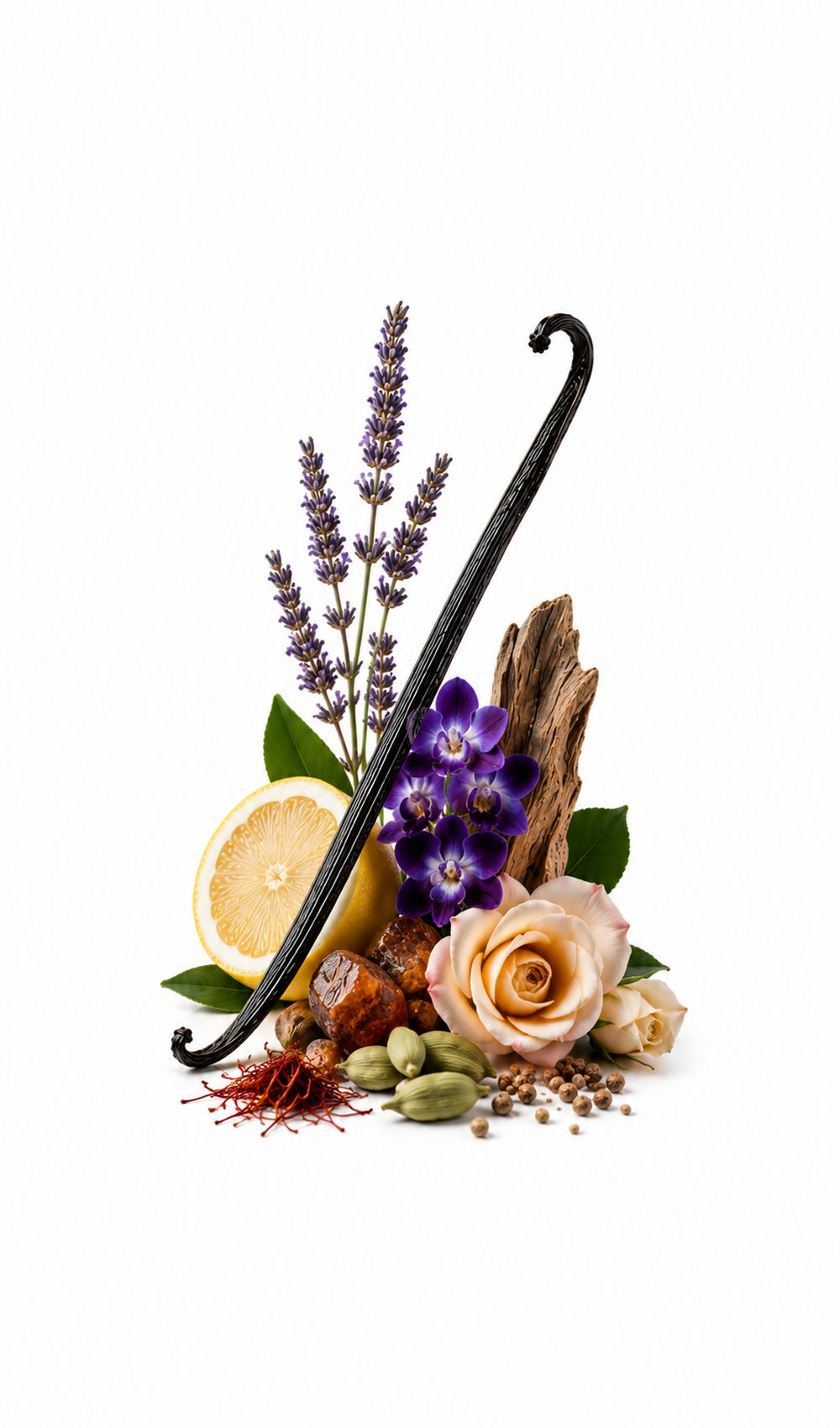 Impresario Perfume Oil inspired by Diaghilev, Roja Parfums — fragrance-note image for a scent where spice and ripe fruit deepen into a rich, complex woody chypre.