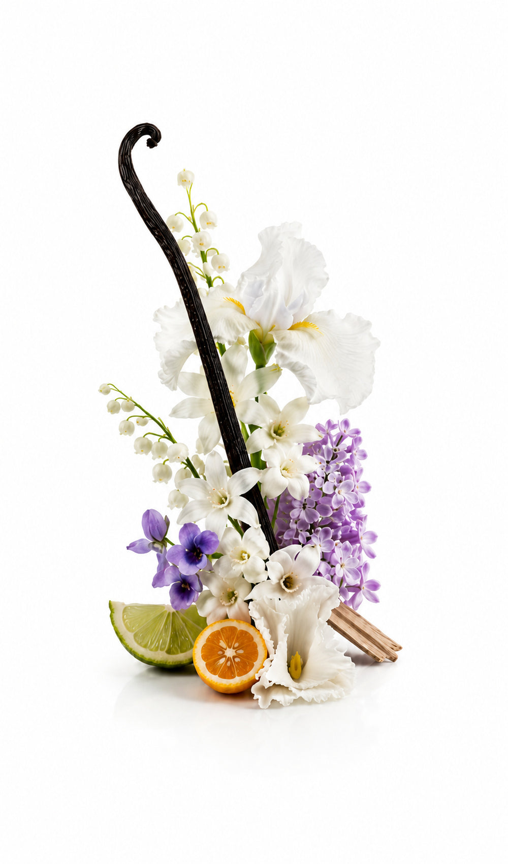 La Dama Perfume Oil inspired by Dama Bianca, Xerjoff — fragrance-note image for a scent where soft vanilla florals brighten with citrus and powdery musk.