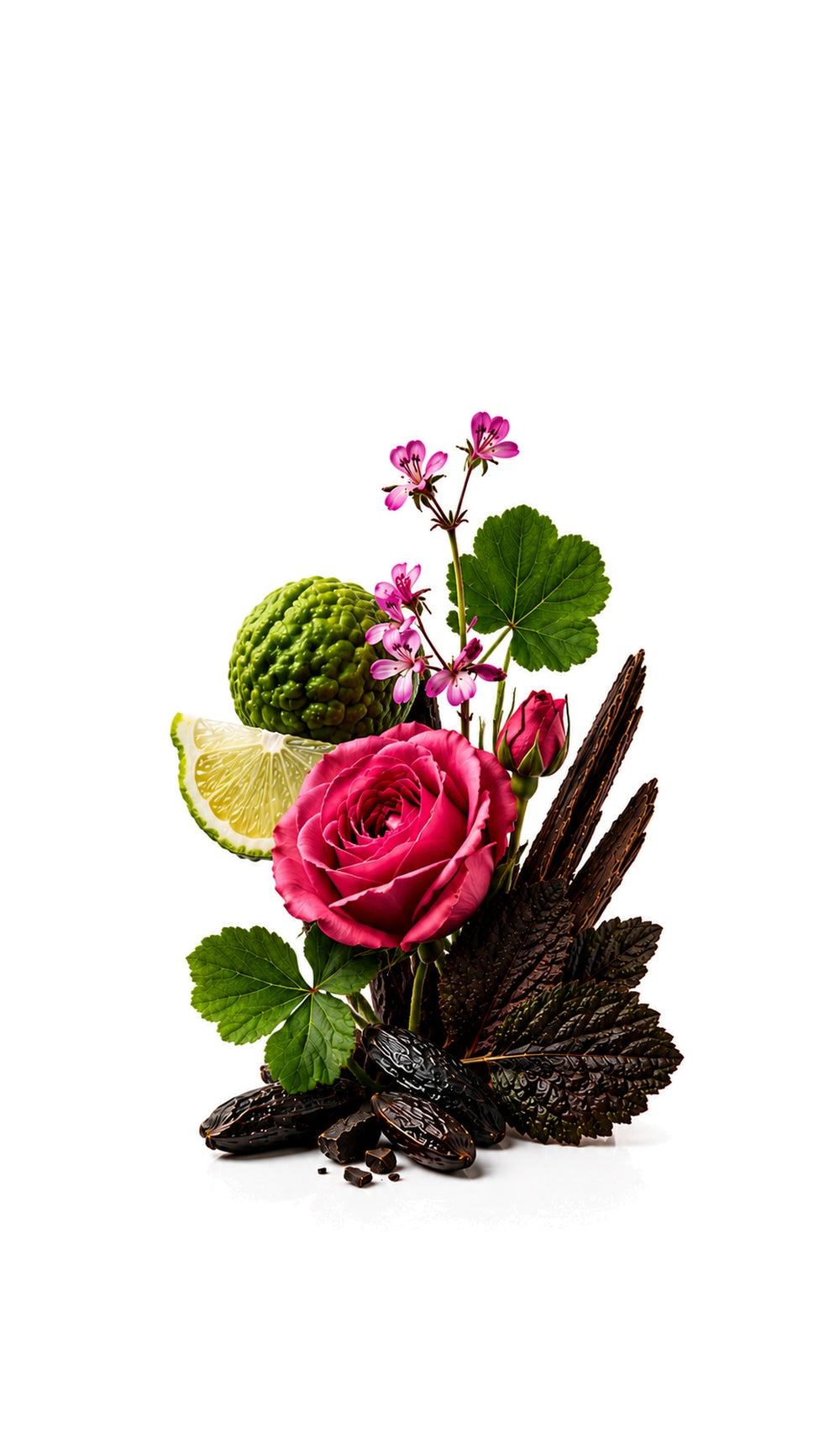 Little Black Dress Perfume Oil inspired by C.Noir — fragrance-note image for a scent where dark florals and patchouli settle into woods and ambered sweetness.