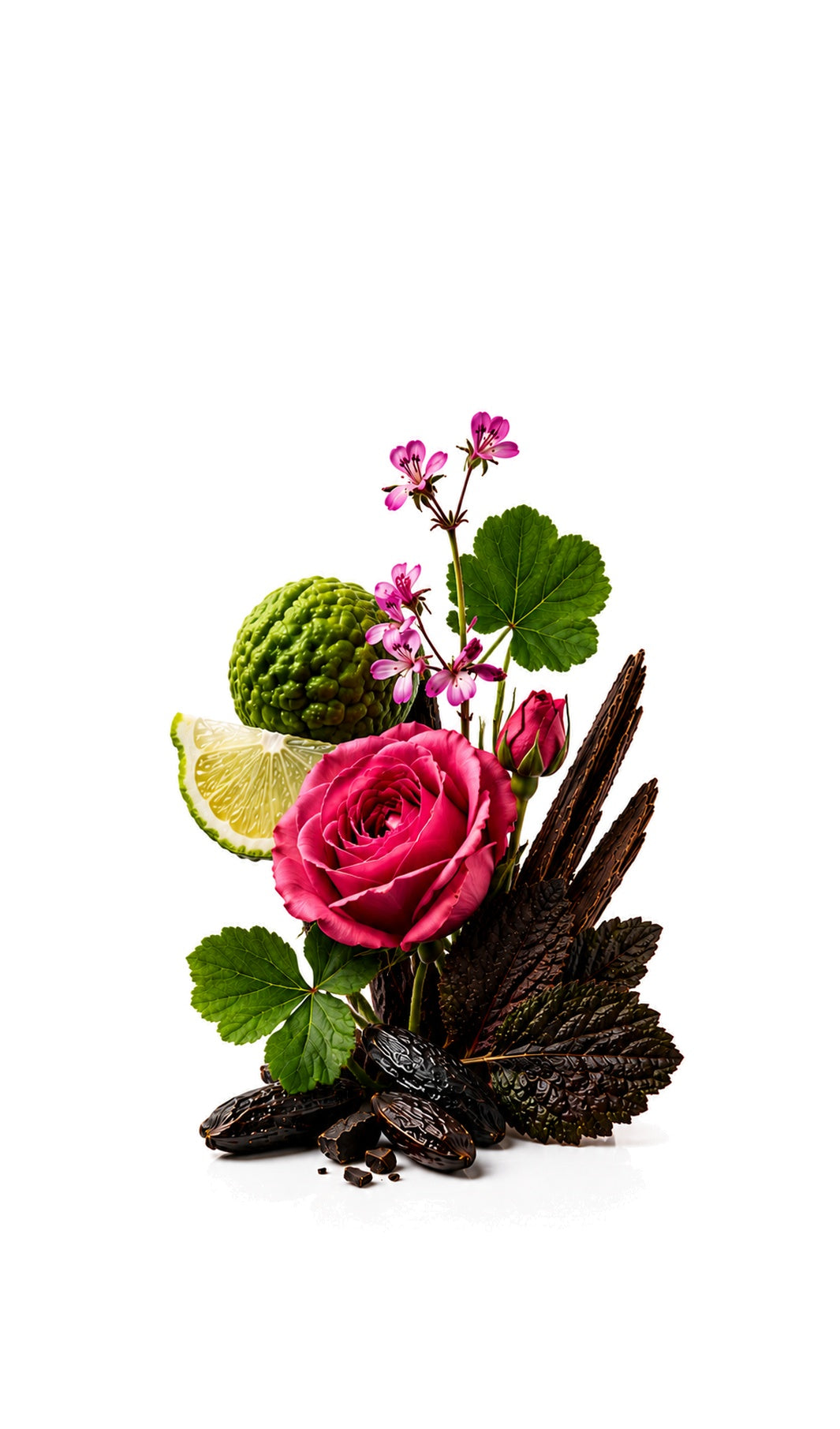 Little Black Dress Perfume Oil inspired by C.Noir — fragrance-note image for a scent where dark florals and patchouli settle into woods and ambered sweetness.