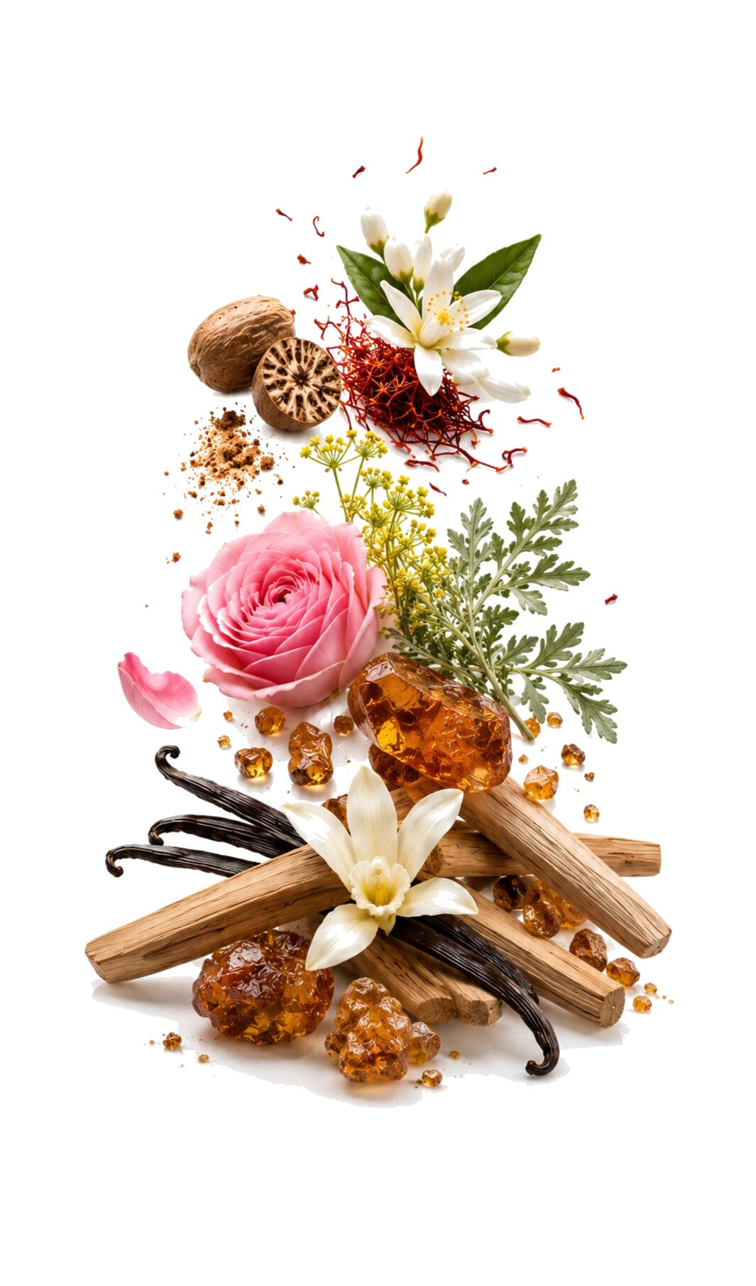 Love Affection Perfume Oil inspired by Venenum Kiss, Ex Nihilo — fragrance-note image for a scent where vanilla and amber melt into smooth woods with sensual depth.