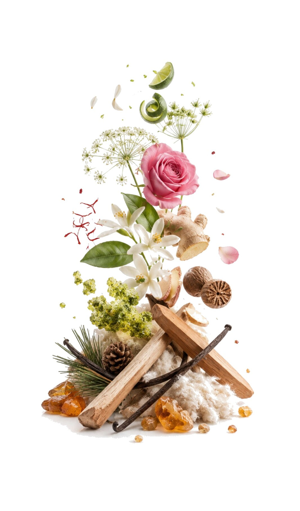 Lyrics by Him Perfume Oil inspired by Lyrics Man, Amouage — fragrance-note image for a scent where lime and ginger spark against incense and spicy rose depth.