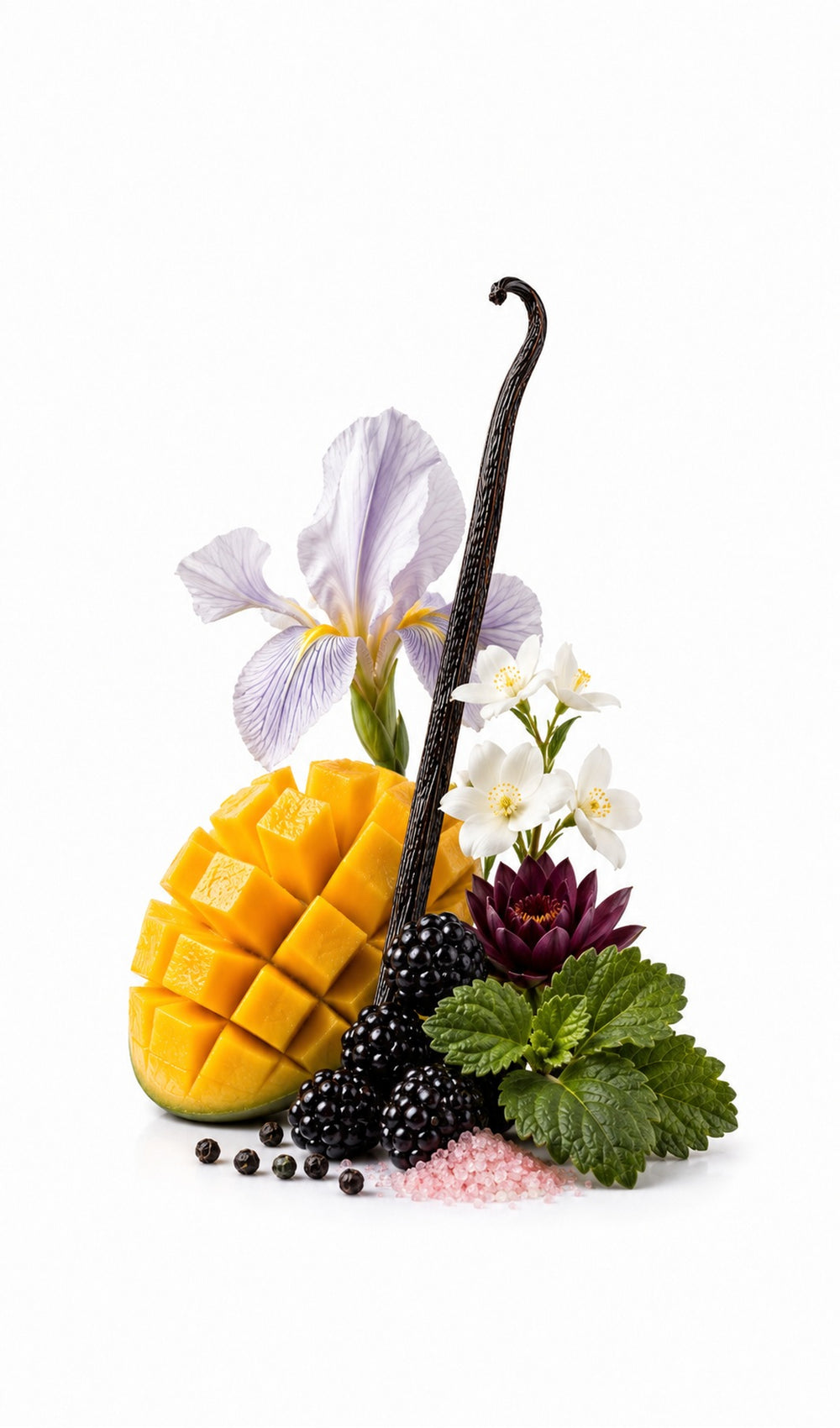 Mango Touch Perfume Oil inspired by Mango Skin, Vilhelm Parfumerie — fragrance-note image for a scent where juicy mango meets tropical florals and soft, sunlit sweetness.