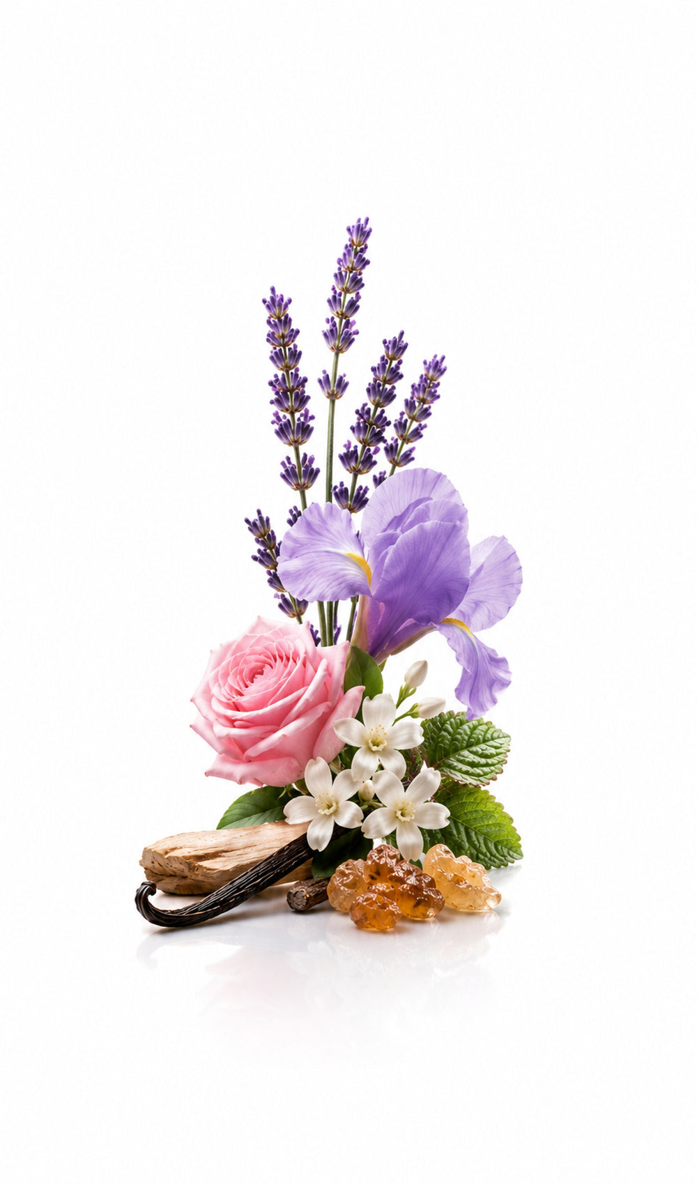 Melisma Perfume Oil inspired by Mon Guerlain, Guerlain — fragrance-note image for a scent where lavender and iris soften into creamy vanilla and smooth woods.