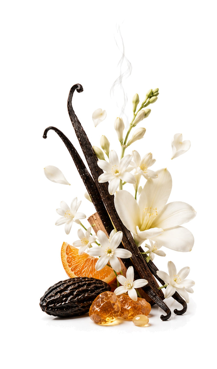 Midnight Dream Perfume Oil inspired by Addict, Dior — fragrance-note image for a scent where deep vanilla and white florals glow with warm spice and sensual richness.