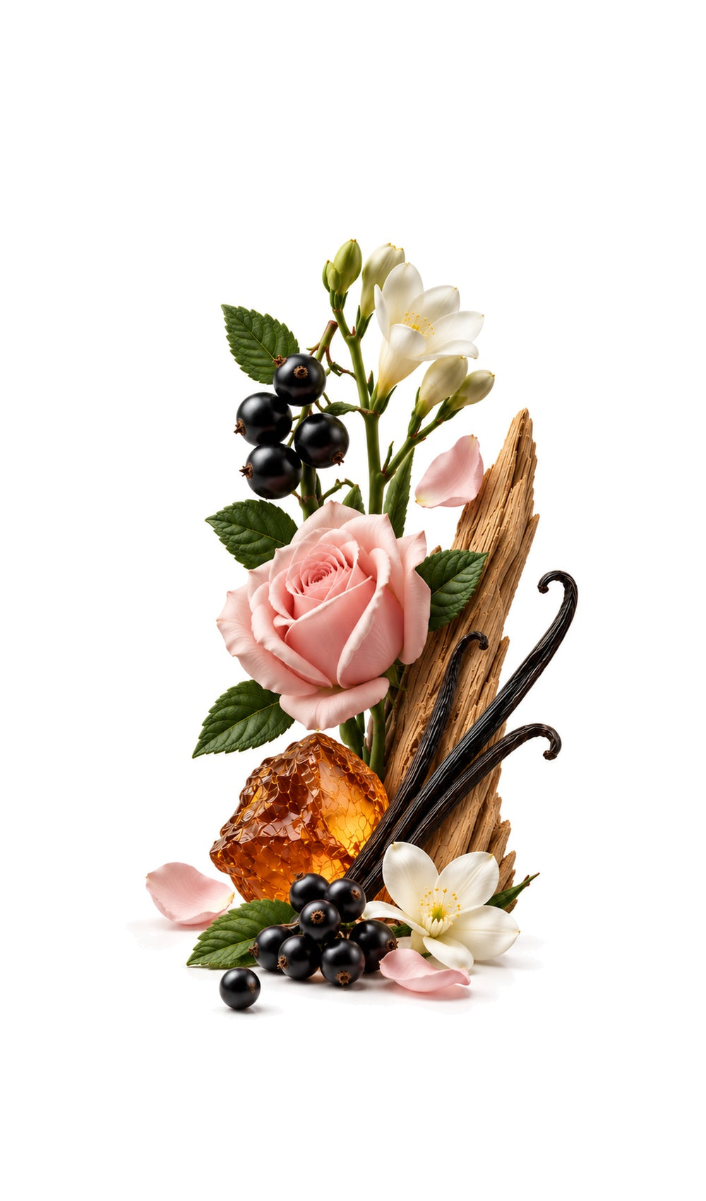 Modern Feminity Perfume Oil inspired by Si, Armani — fragrance-note image for a scent where blackcurrant and florals deepen into vanilla and patchouli warmth.