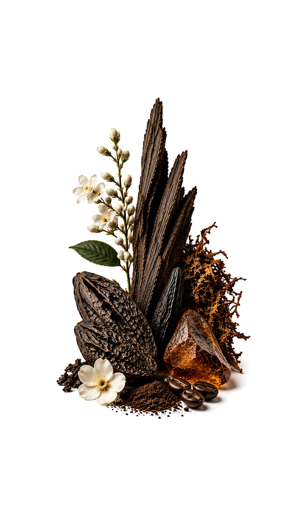 Onyx Perfume Oil inspired by Back To Black, Kilian — fragrance-note image for a scent where honeyed tobacco and cherry melt into warm woody spice.