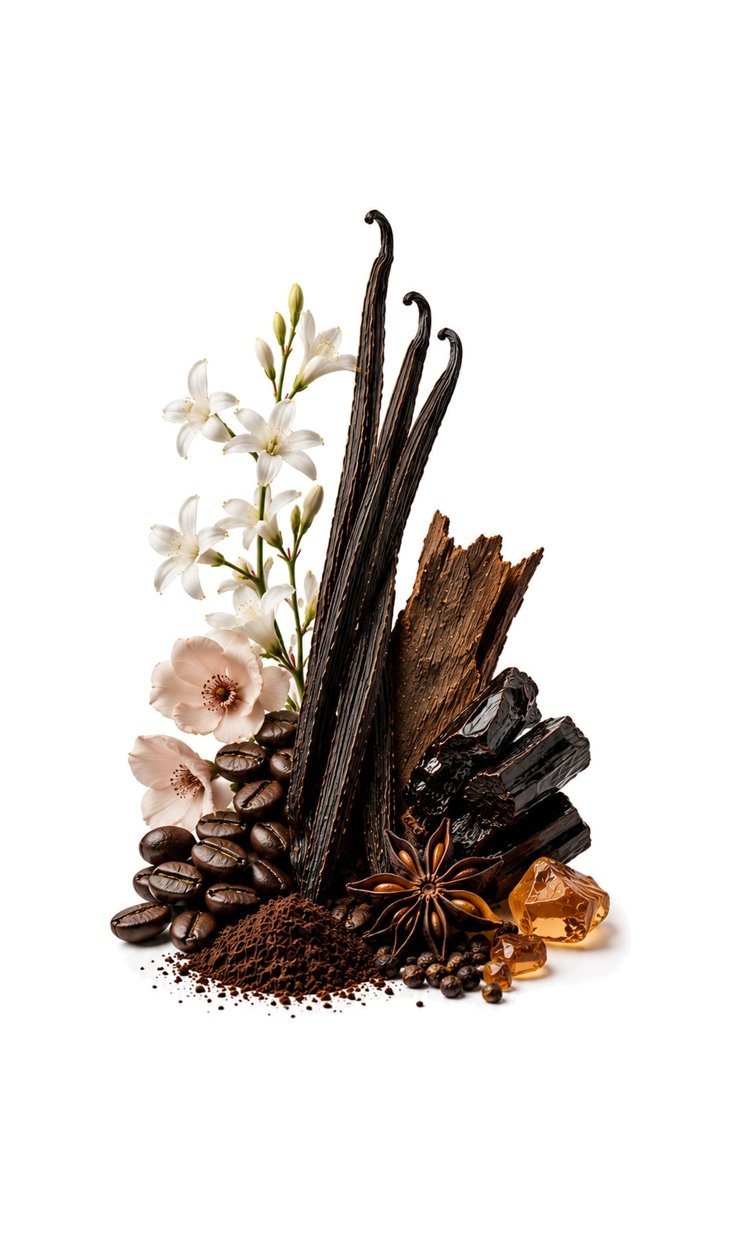 Opulence Perfume Oil inspired by Black Opium, Yves Saint Laurent — fragrance-note image for a scent where coffee and vanilla wrap creamy white florals in rich gourmand warmth.