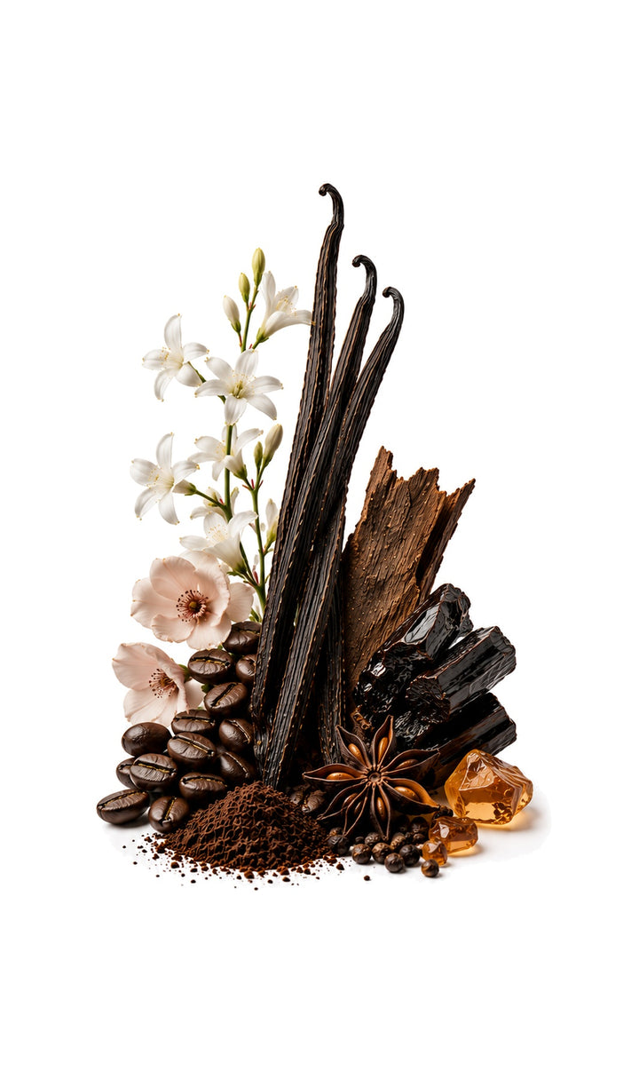 Opulence Perfume Oil inspired by Black Opium, Yves Saint Laurent — fragrance-note image for a scent where coffee and vanilla wrap creamy white florals in rich gourmand warmth.