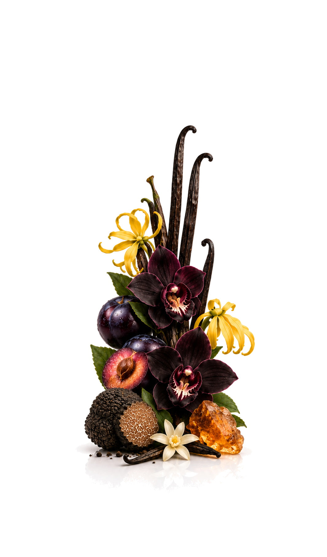 Orhidea Perfume Oil inspired by Black Orchard, Tom Ford — fragrance-note image for a scent where dark orchid and ripe fruit deepen into chocolate and patchouli.