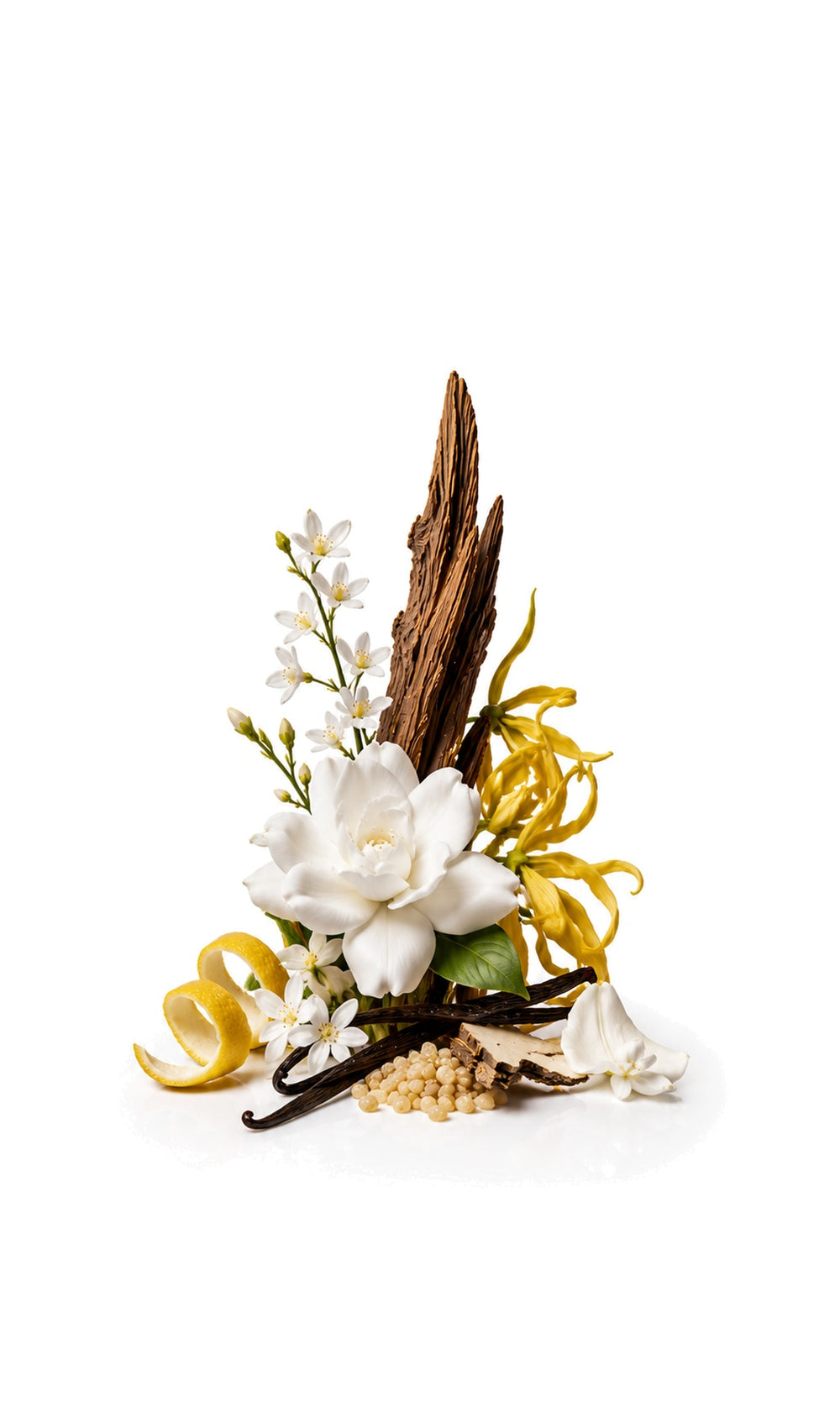 Parisian Streets Perfume Oil inspired by poeC.No.5 — fragrance-note image for a scent where aldehydic florals and powdery musk create polished, timeless elegance.
