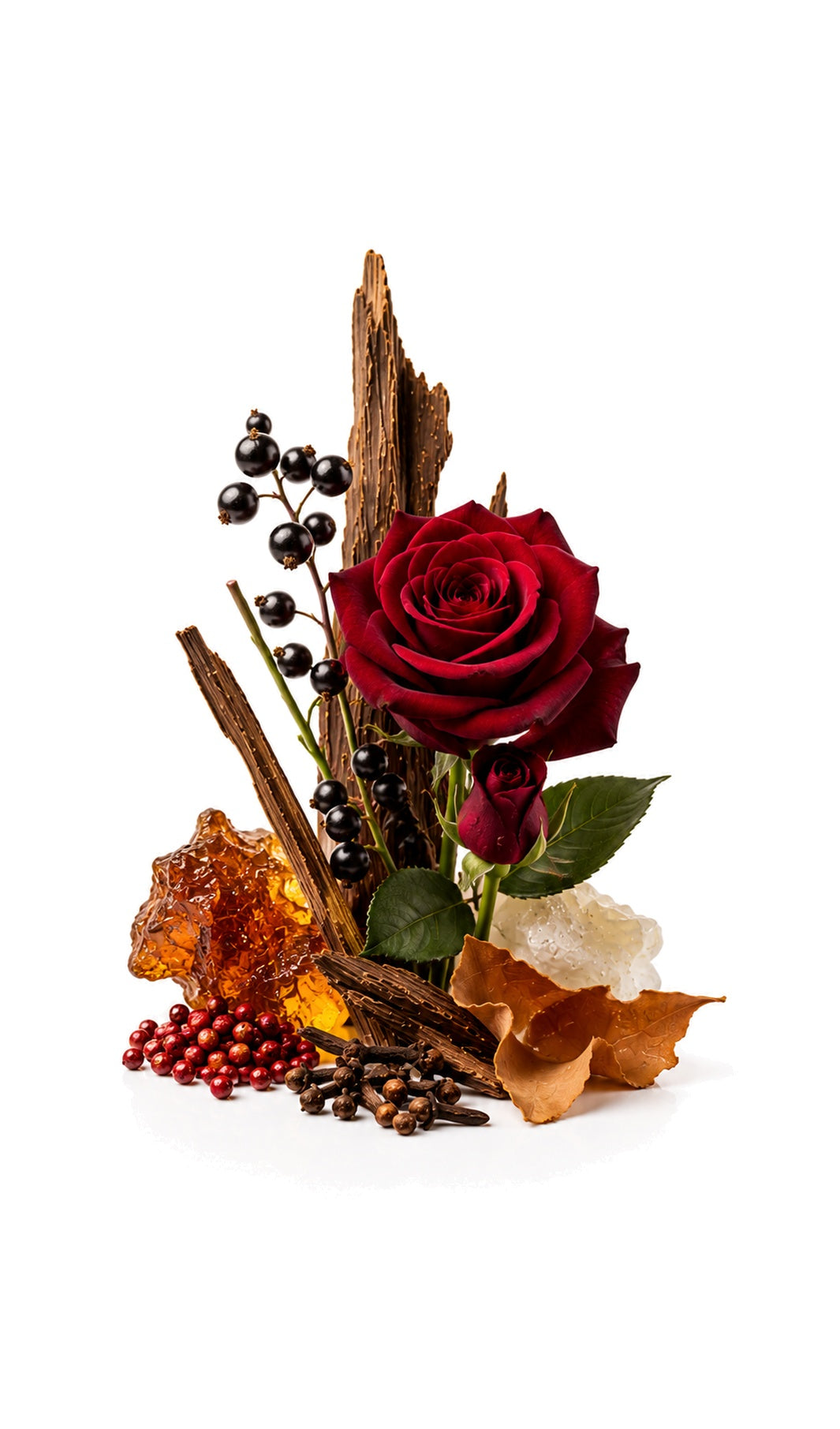 Portrayal Perfume Oil inspired by Portrait of a Lady, Frederic Malle — fragrance-note image for a scent where powerful rose and patchouli deepen into amber and warm woods.