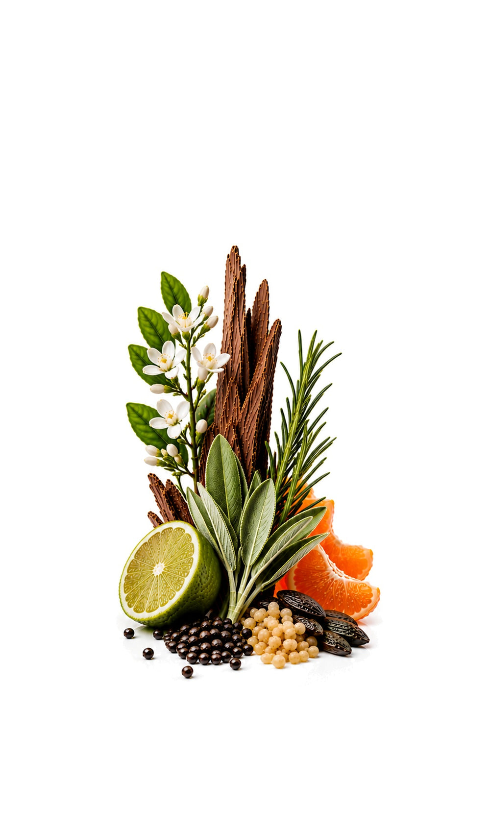 Prestige Homme Perfume Oil inspired by poeAll.Sp — fragrance-note image for a scent where fresh aromatics, smooth woods and musk create a clean, refined profile.
