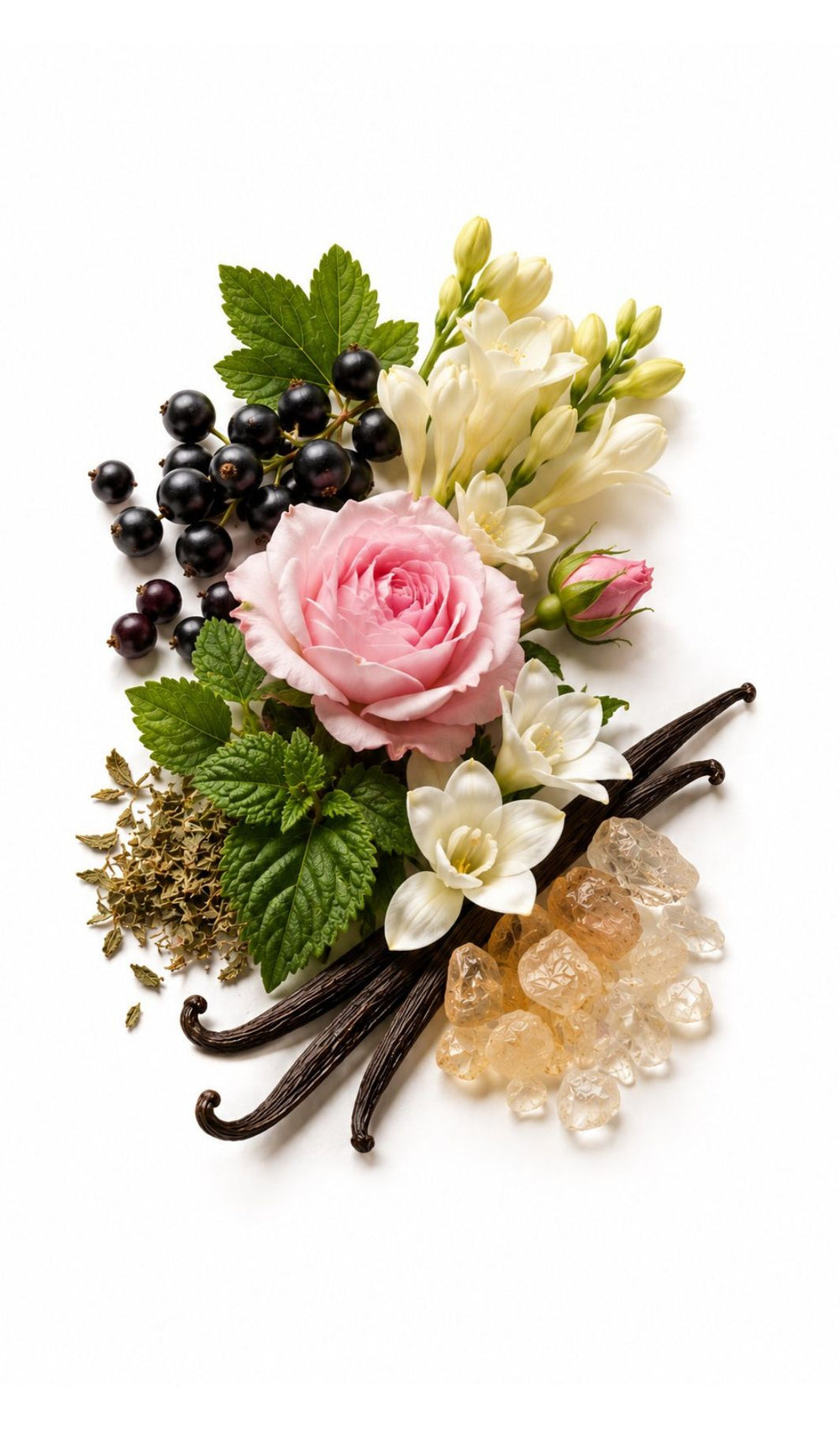 Inspired by Si, Armani — Modern Feminity perfume oil bottle with blackcurrant, florals, vanilla and patchouli.