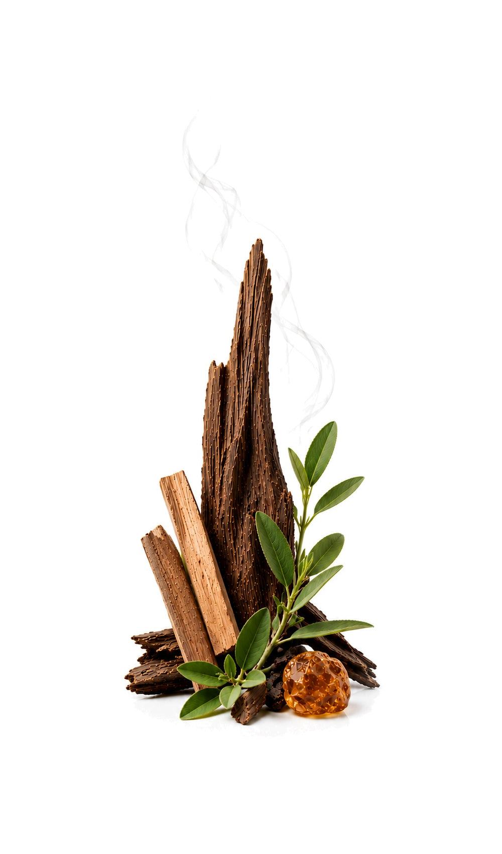 Silent Woods Perfume Oil inspired by Oud Wood, Tom Ford — fragrance-note image for a scent where oud woods and warm spice smoulder with dry smoky depth.