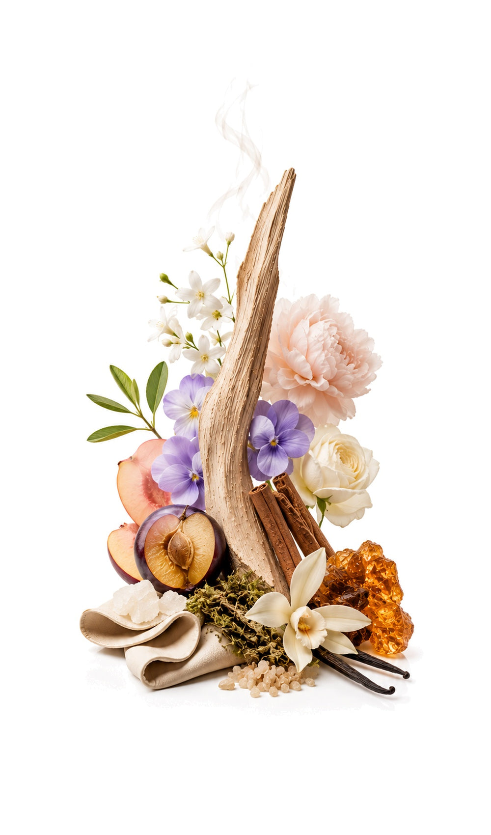 Silent Words Perfume Oil inspired by Bibliotheque, Byredo — fragrance-note image for a scent where peach and plum soften into leather, vanilla and patchouli.