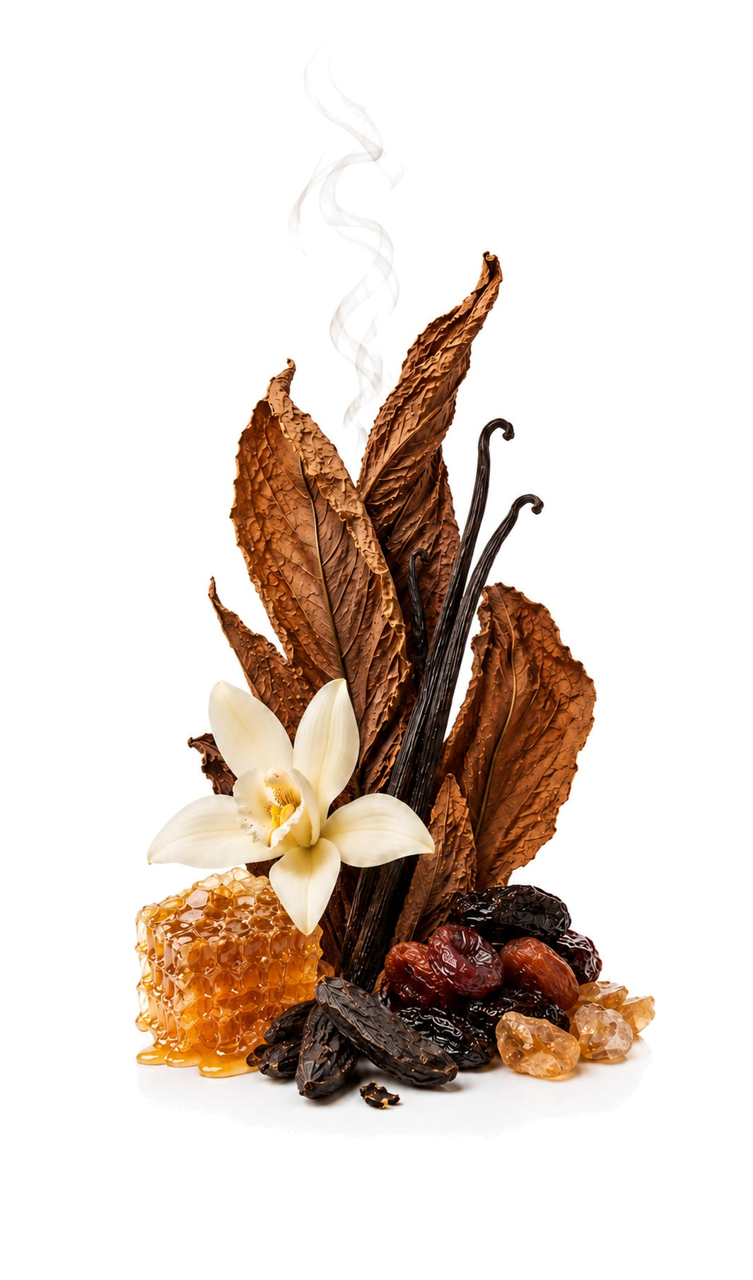 Smokey Vanilla Perfume Oil inspired by Tobacco Vanille, Tom Ford — fragrance-note image for a scent where tobacco and vanilla deepen with warm spice and dried fruit.