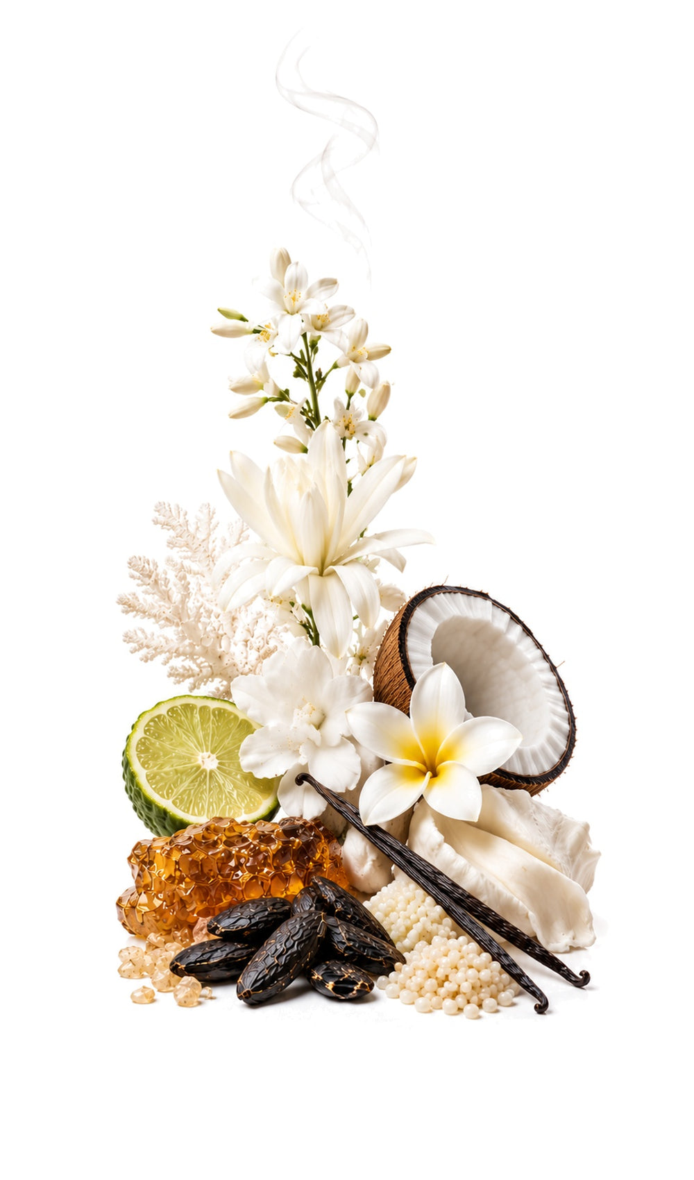 Soleil Perfume Oil inspired by Soleil Blanc, Tom Ford — fragrance-note image for a scent where luminous white florals and creamy coconut create sun-warmed freshness.