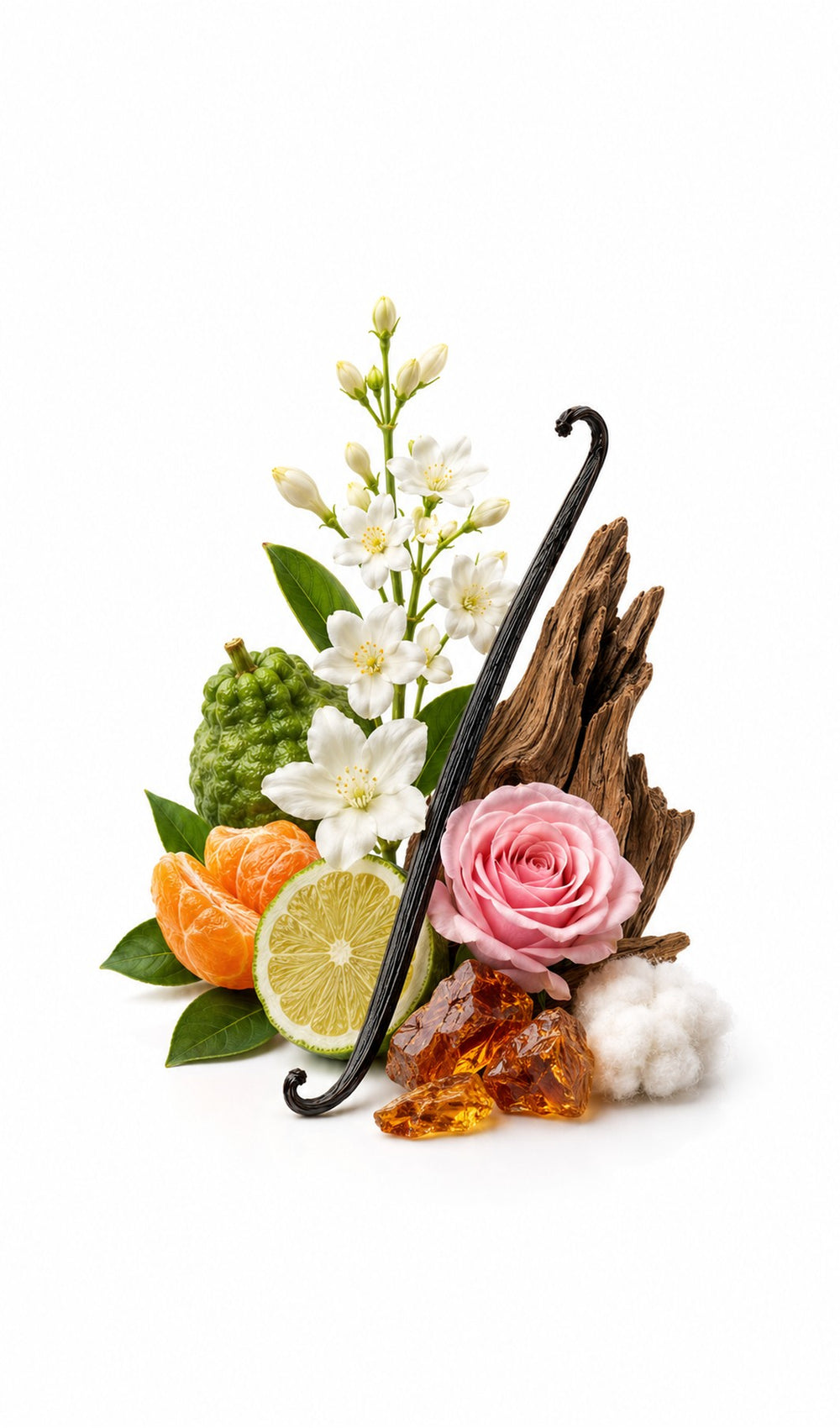 Speechless Perfume Oil inspired by More Than Words, Xerjoff — fragrance-note image for a scent where oud and rose deepen into fruity amber and velvety richness.