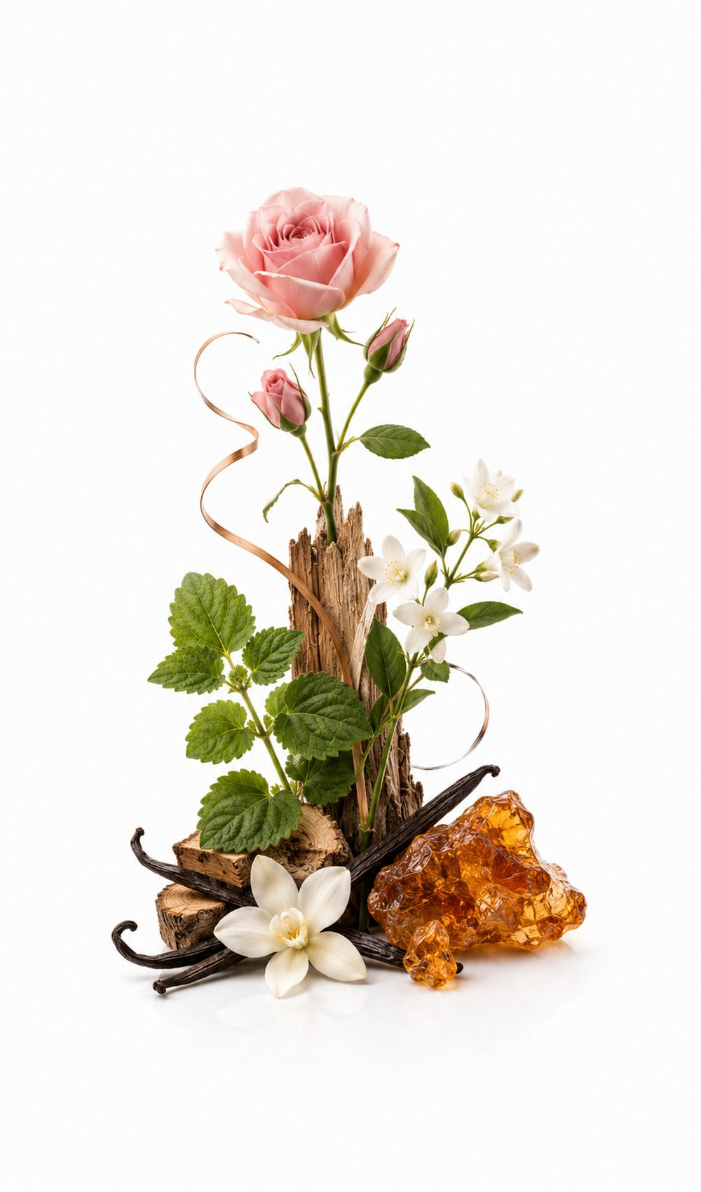 The Avenue Perfume Oil inspired by New York 5th Avenue, Fragrance Du Bois — fragrance-note image for a scent where warm spice and polished woods meet refined sweetness.