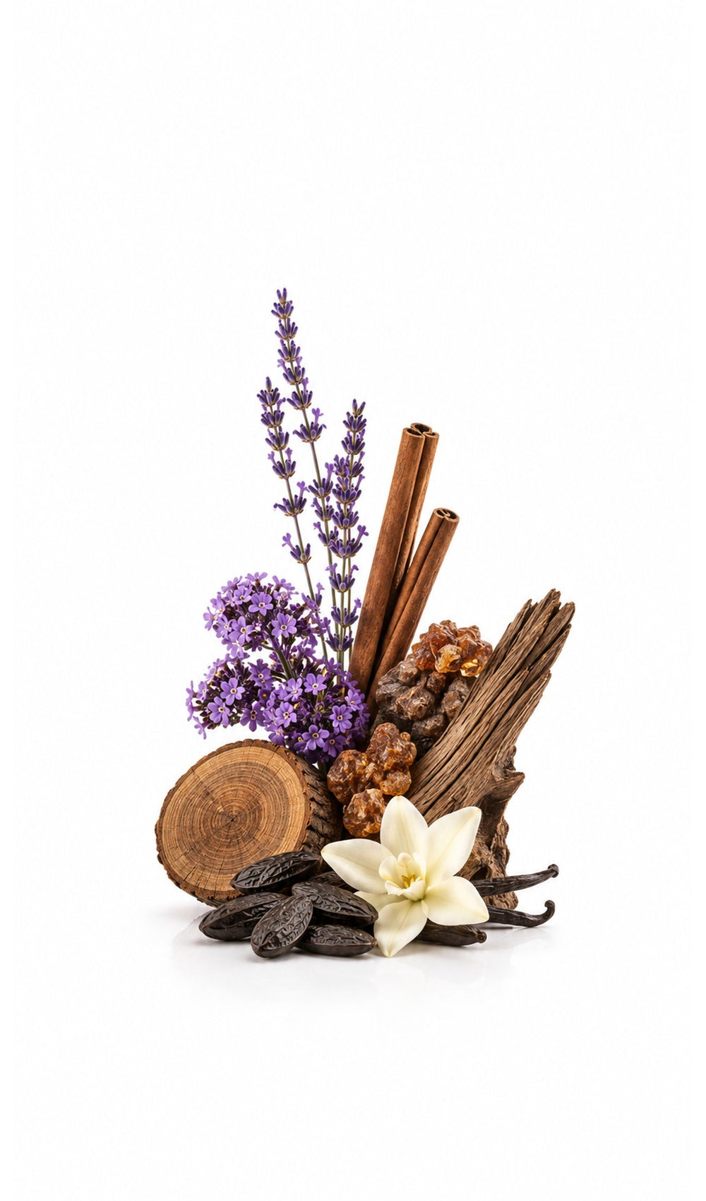 Tonka Spice Perfume Oil inspired by Myrrh & Tonka, Jo Malone — fragrance-note image for a scent where tonka and vanilla wrap myrrh in warm woody richness.